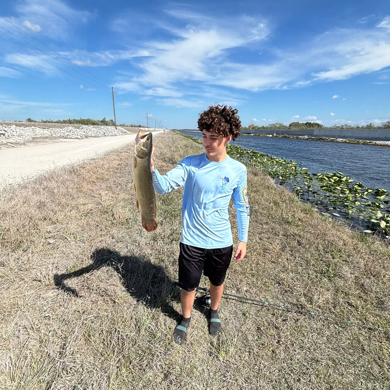 The most recent Ruddy bowfin catches on Fishbrain