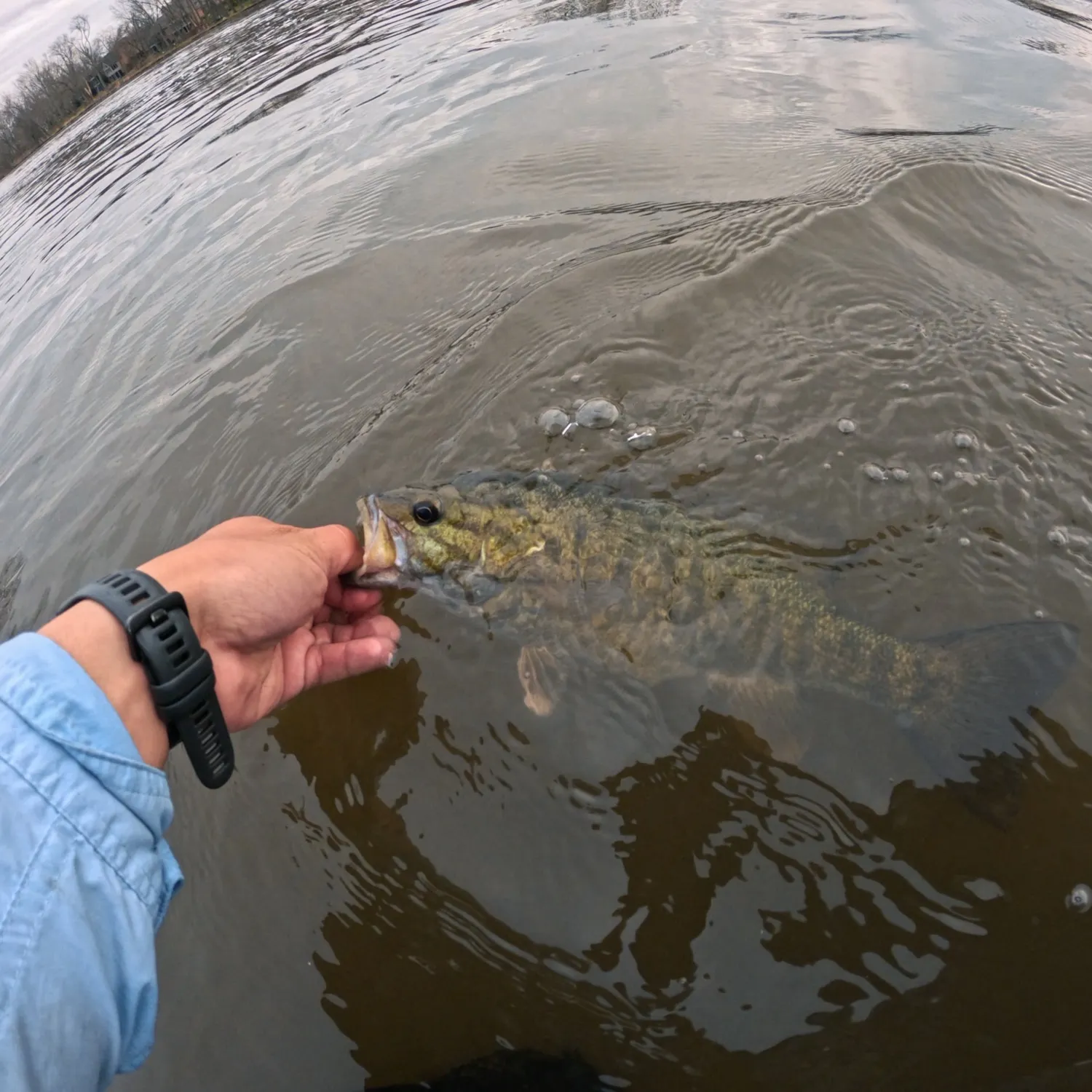 catch