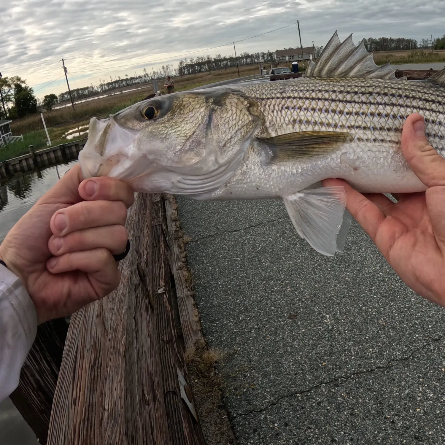 catch