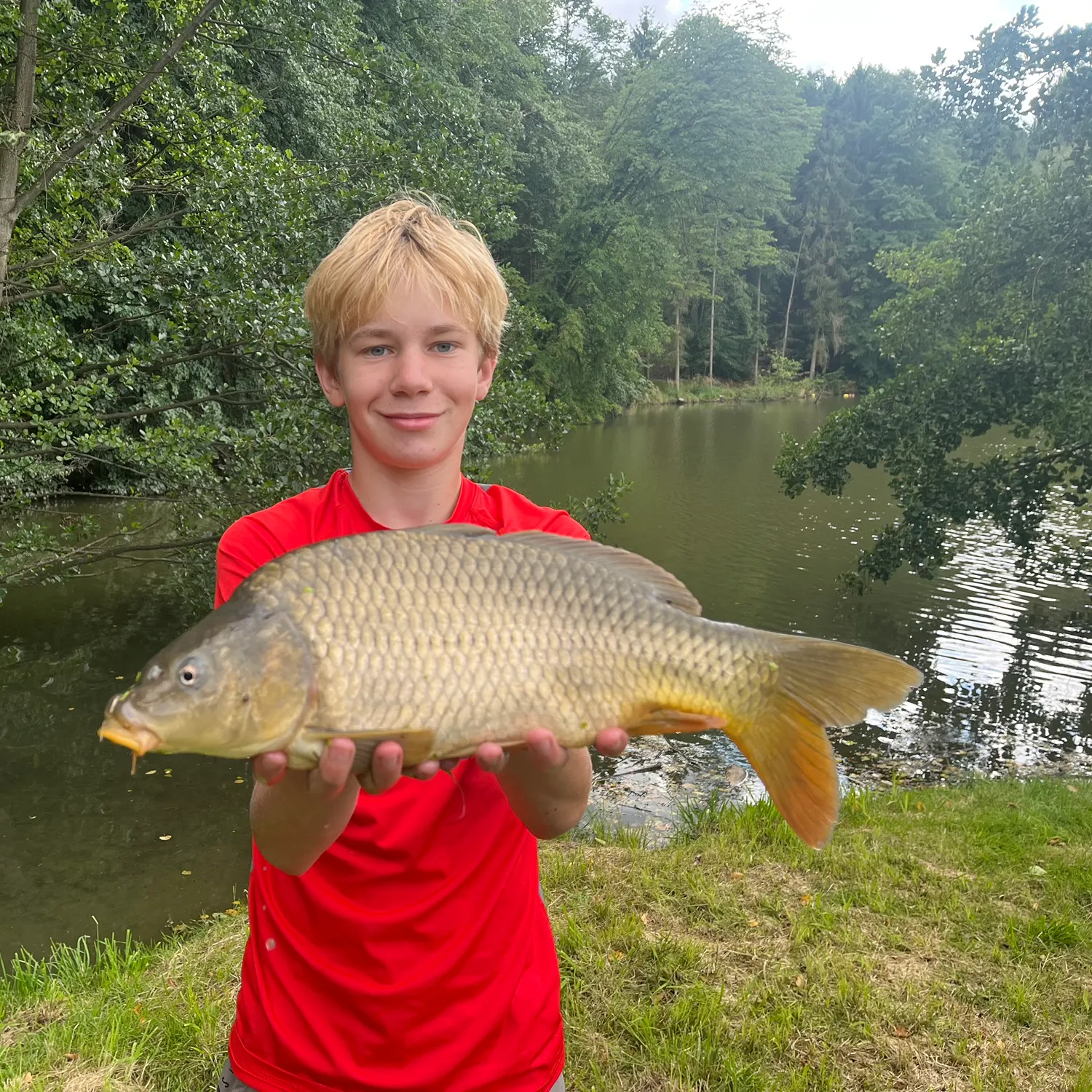 Common carp caught on Fishbrain