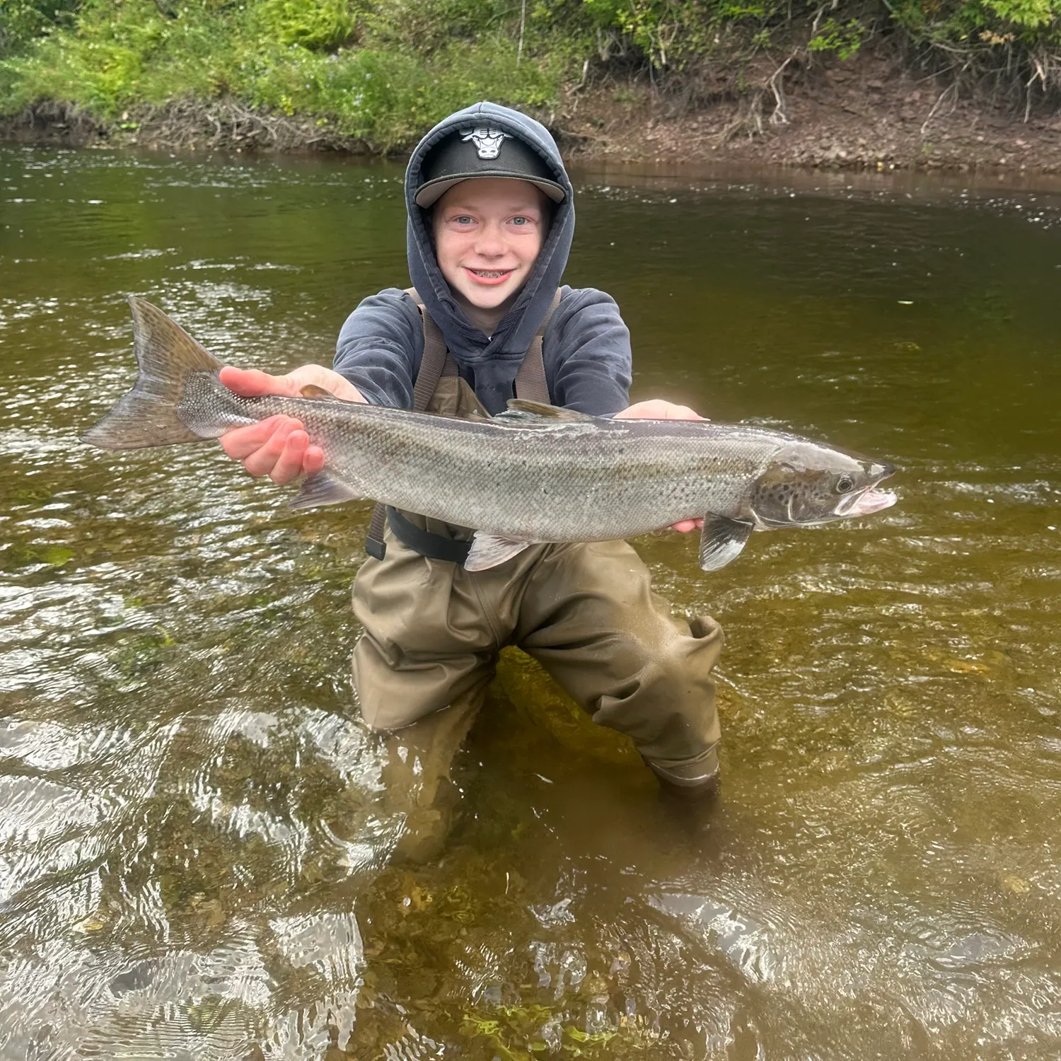 Atlantic salmon caught on Fishbrain