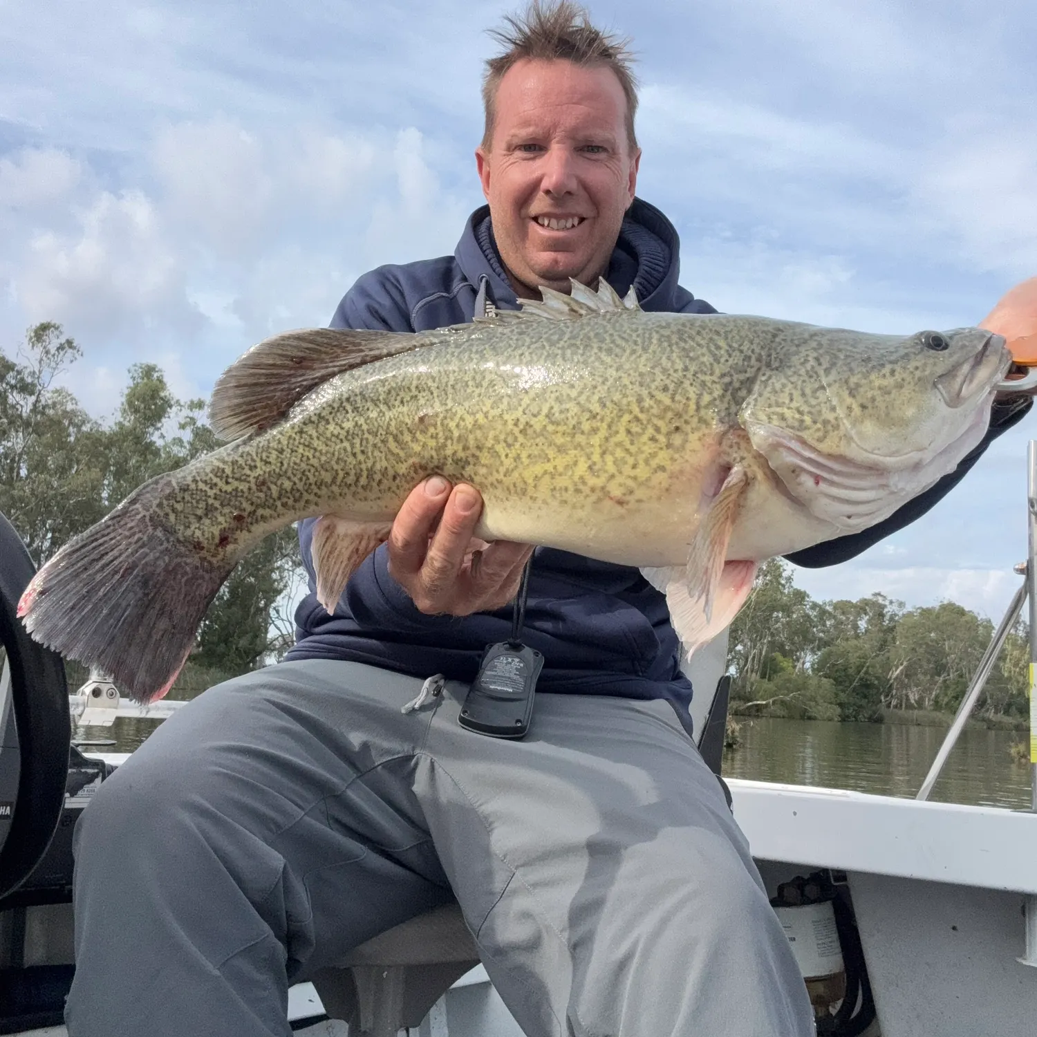 The most recent Murray cod catches on Fishbrain
