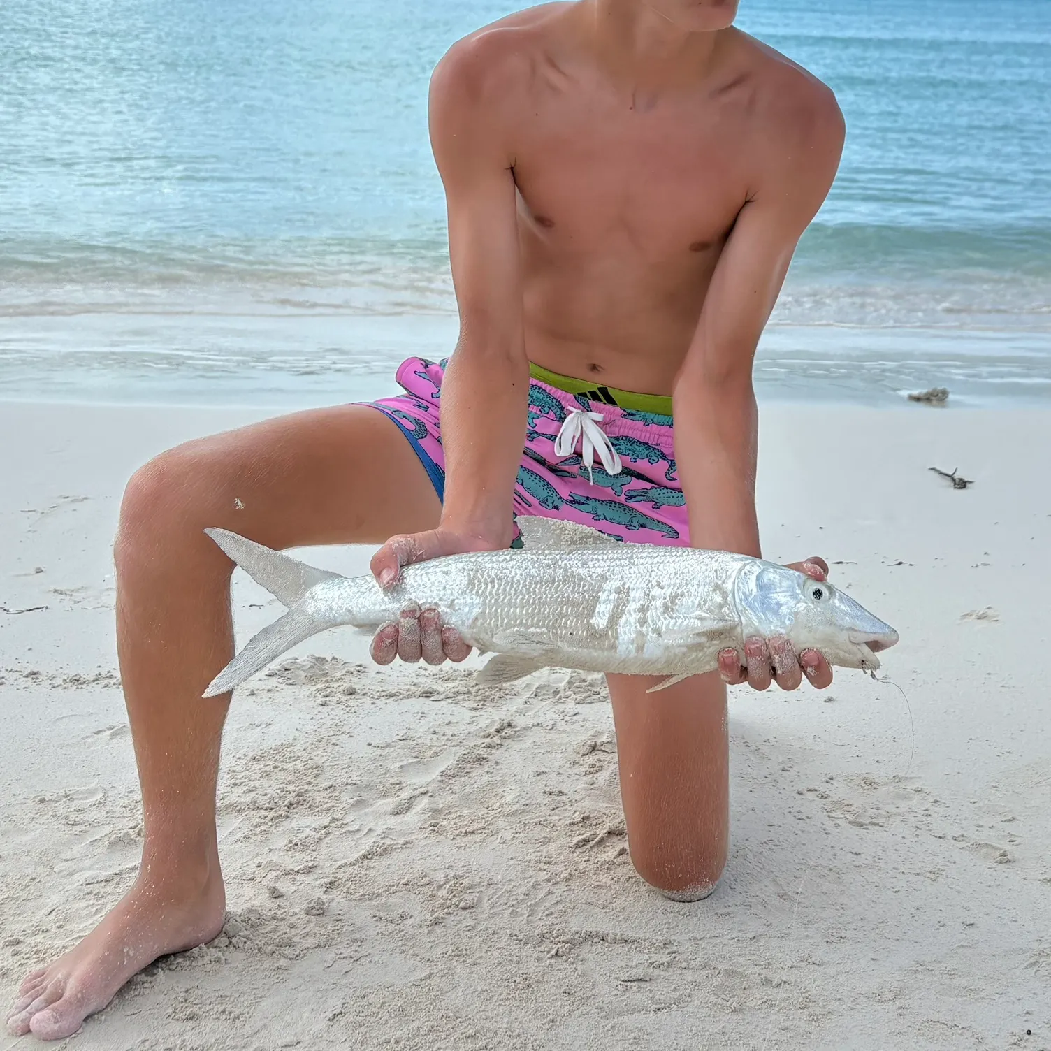 The most recent West Atlantic bonefish catches on Fishbrain