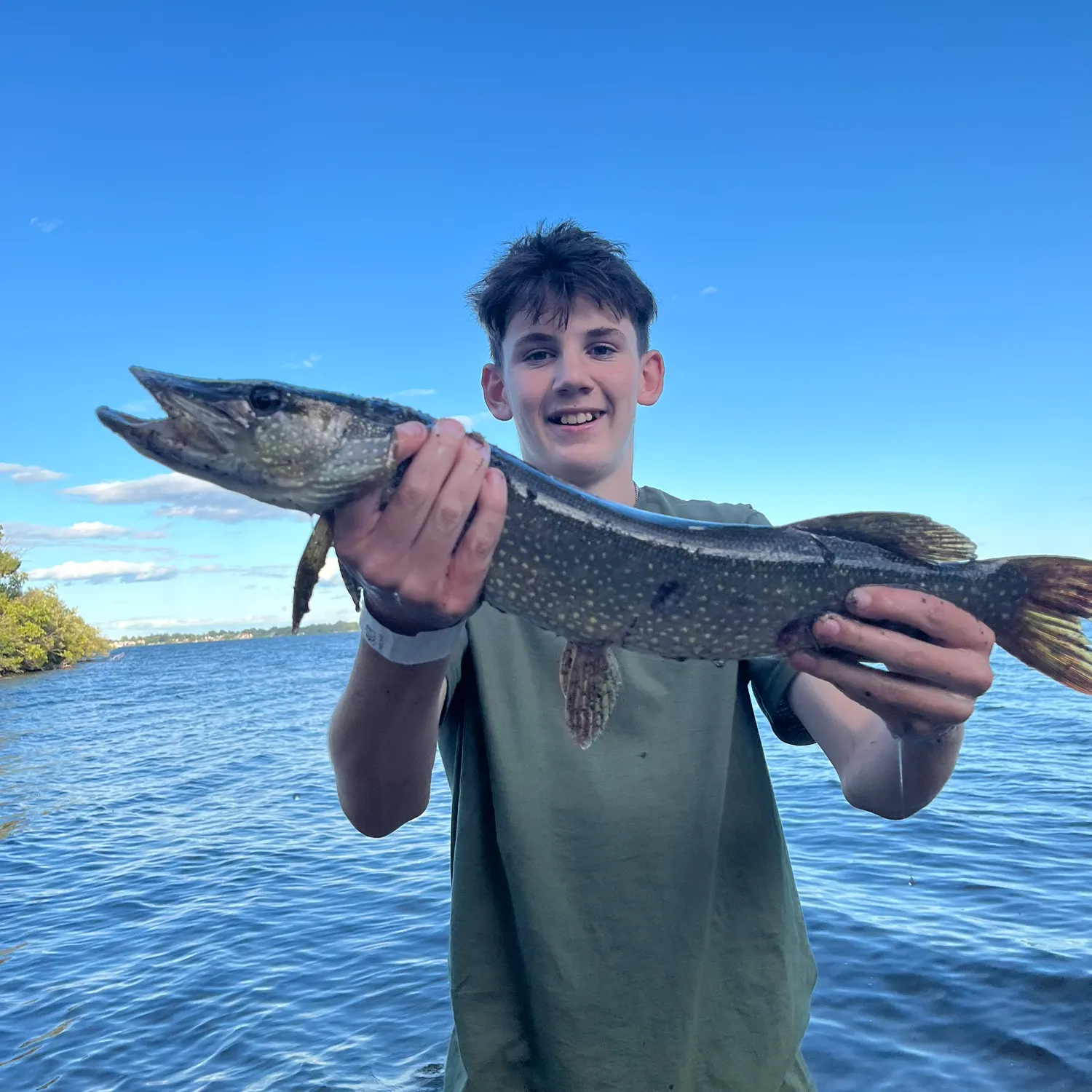 Northern pike caught on Fishbrain