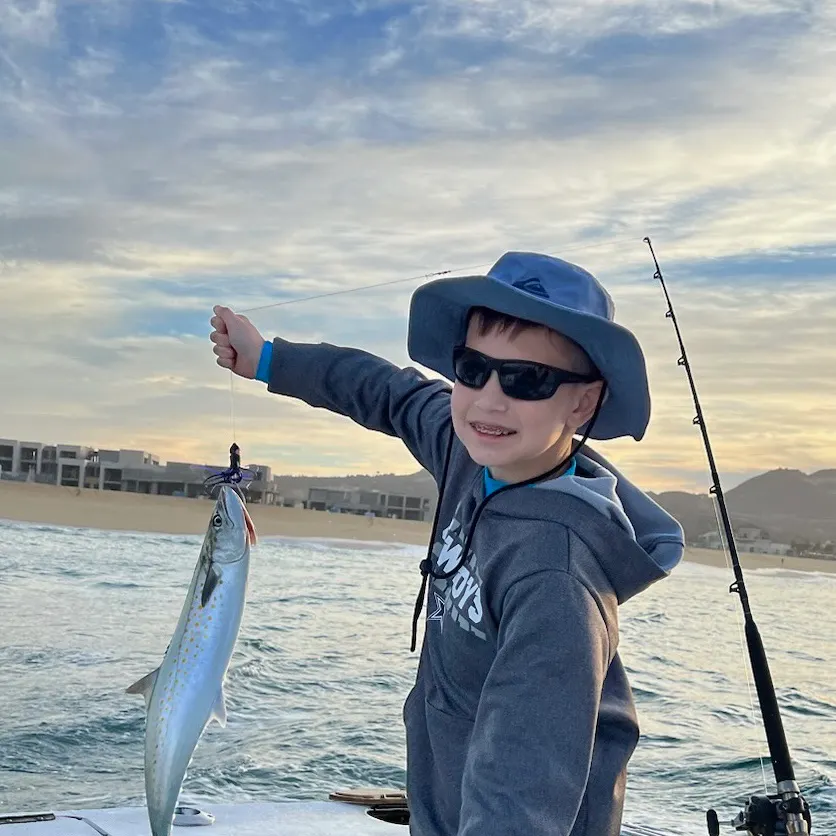 The most recent Spanish mackerel catches on Fishbrain