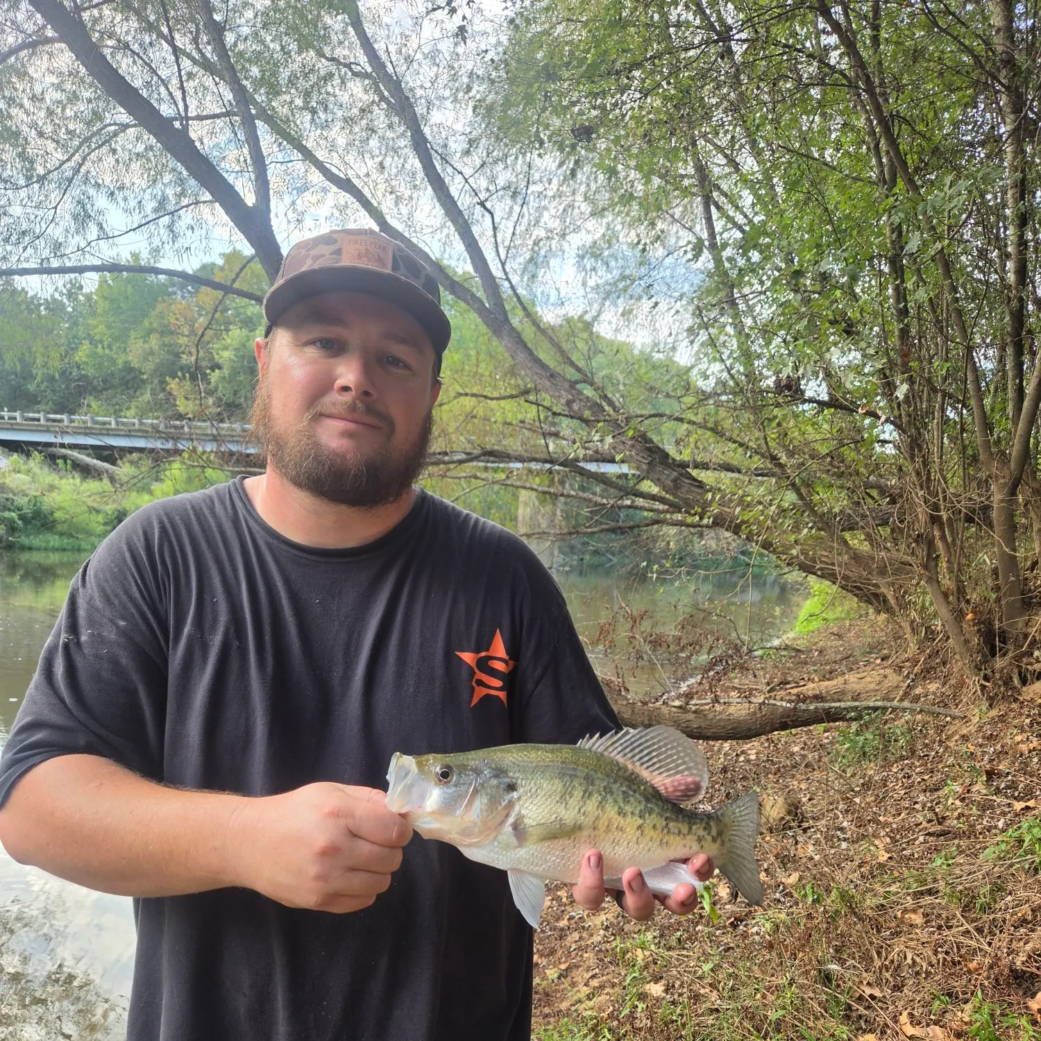 White bass caught on Fishbrain