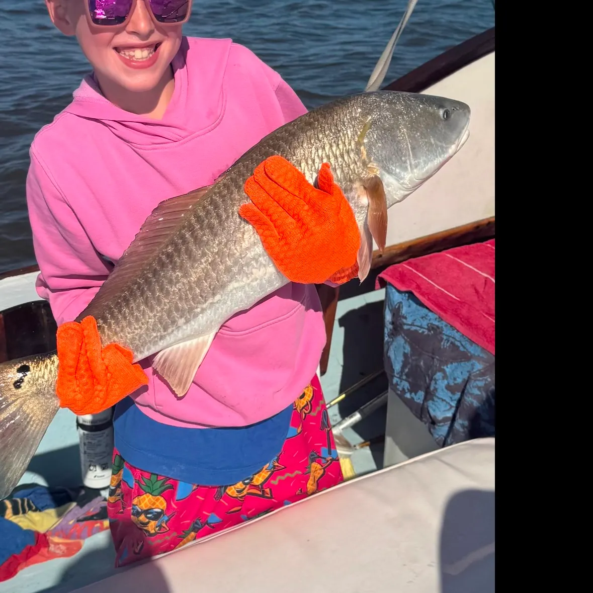 The most recent Red drum catches on Fishbrain