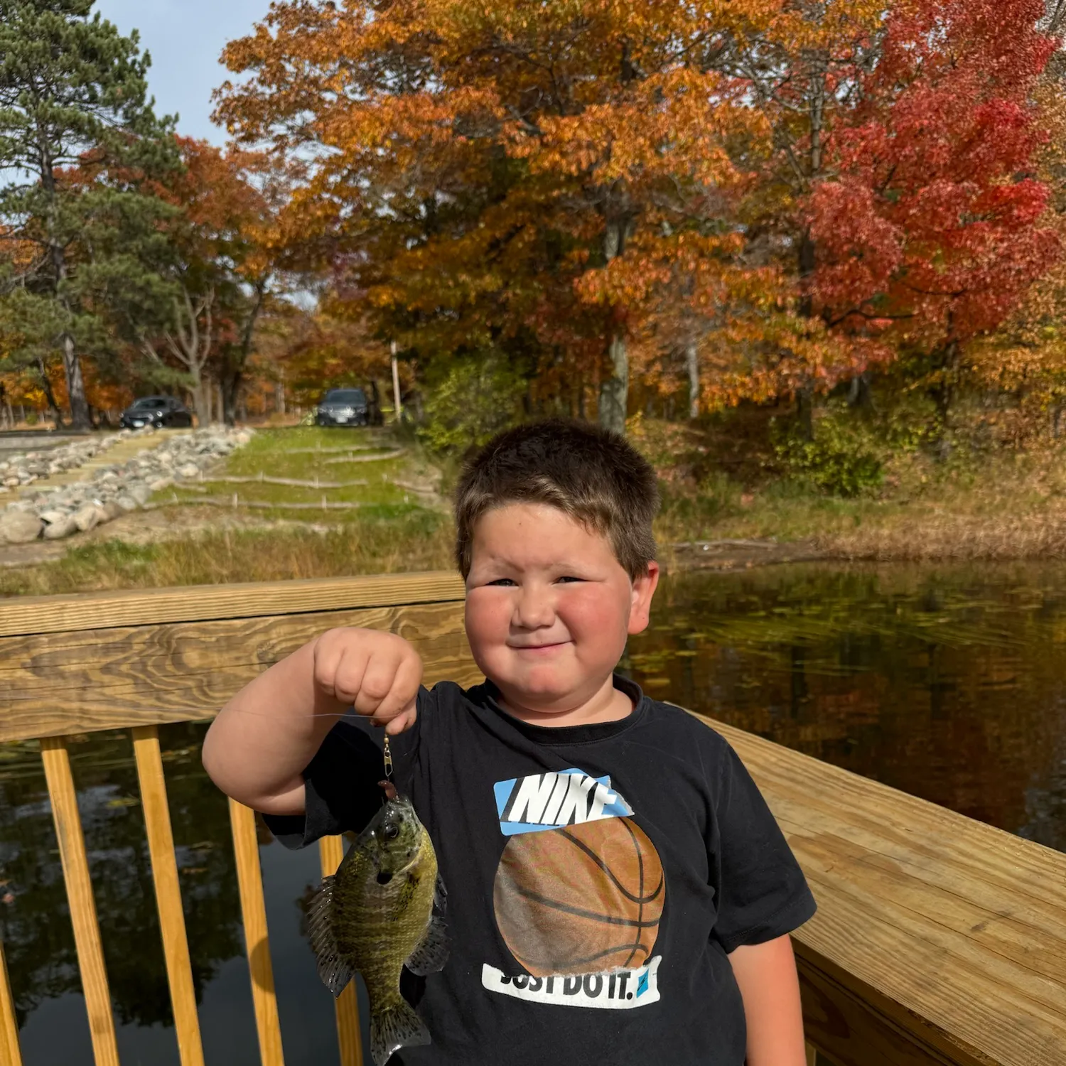 Bluegill caught on Fishbrain