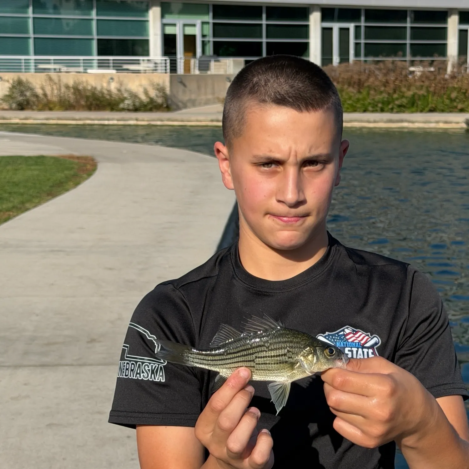 Yellow bass caught on Fishbrain
