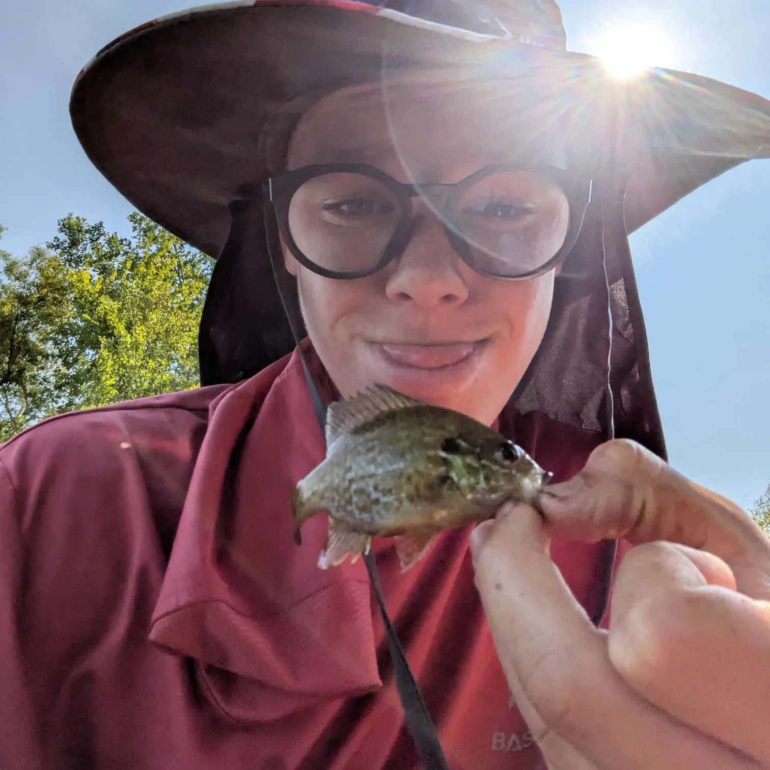 Pumpkinseed caught on Fishbrain
