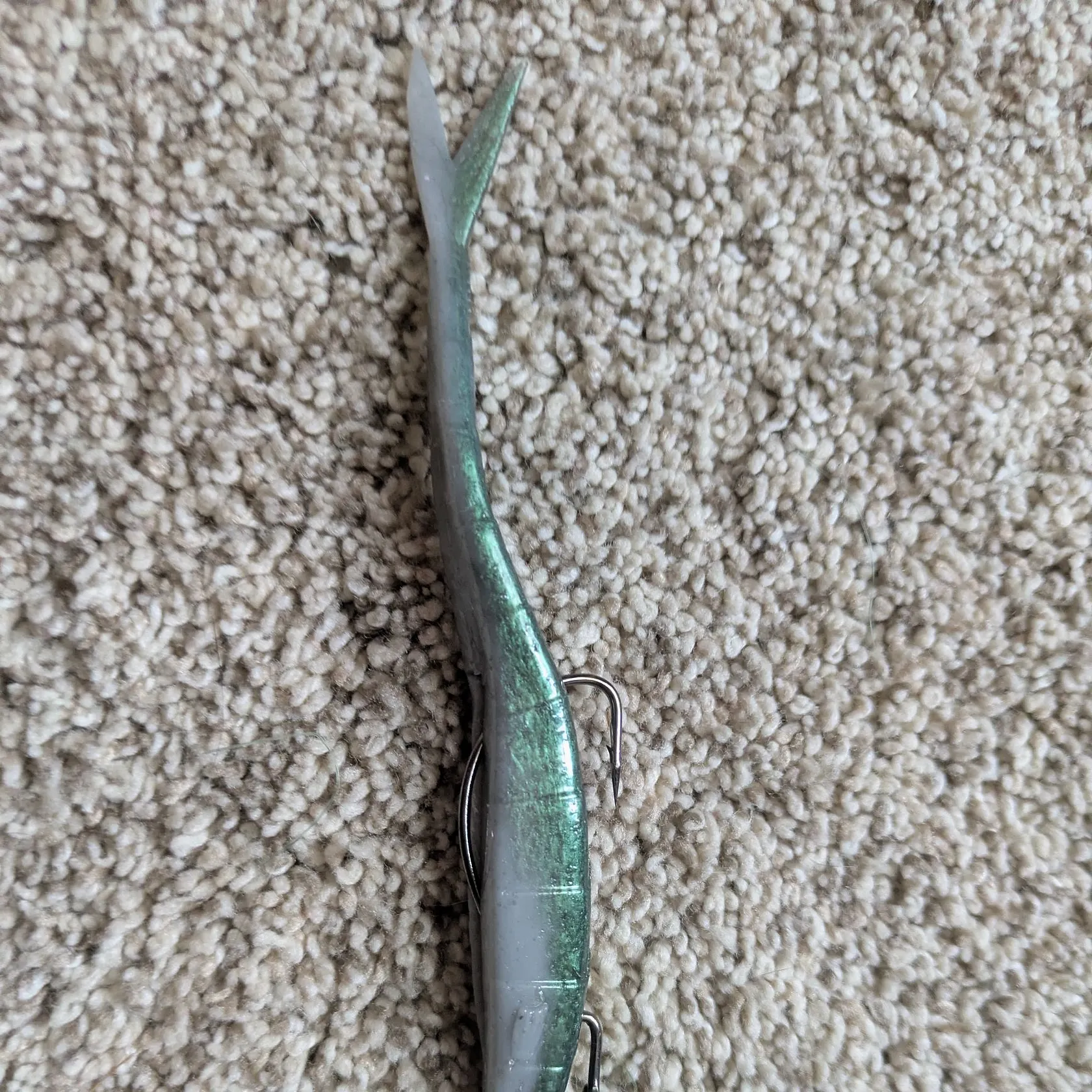 American eel caught on Fishbrain
