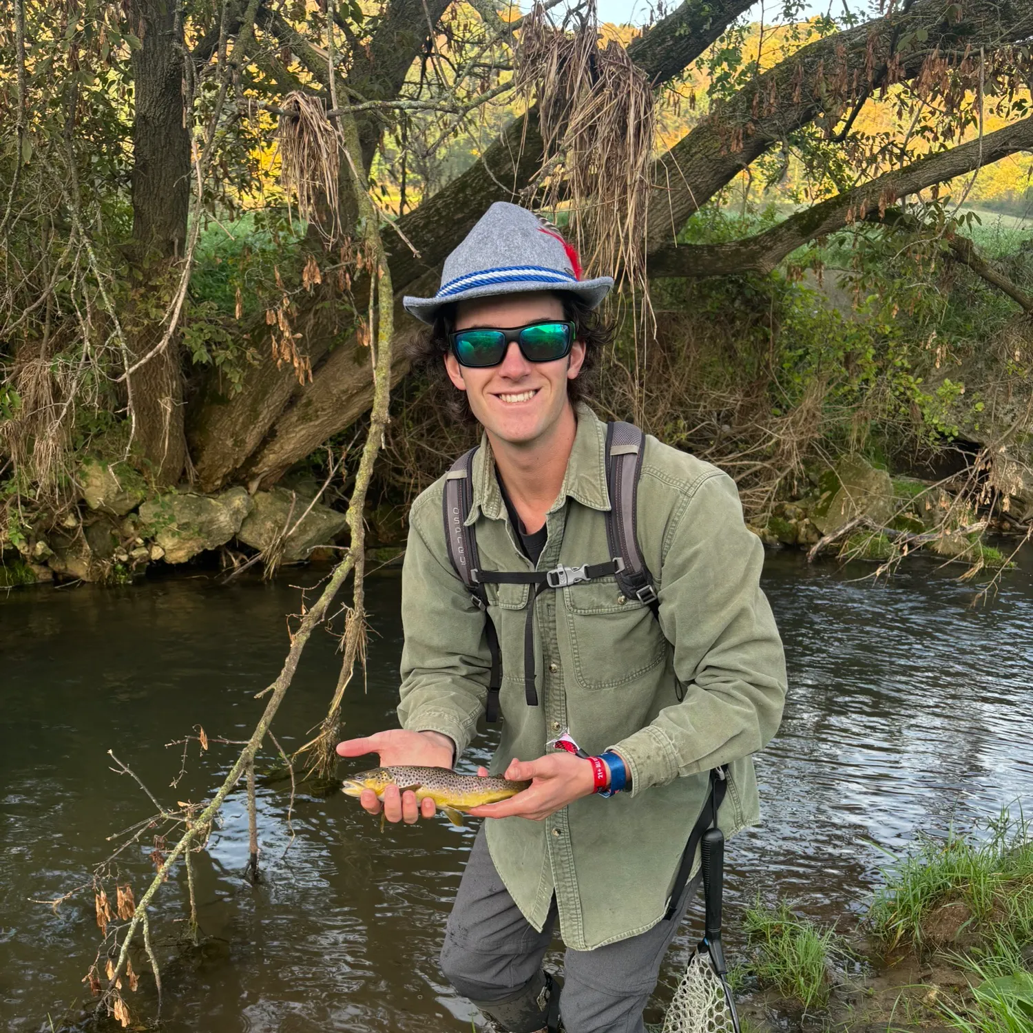 Brown trout caught on Fishbrain