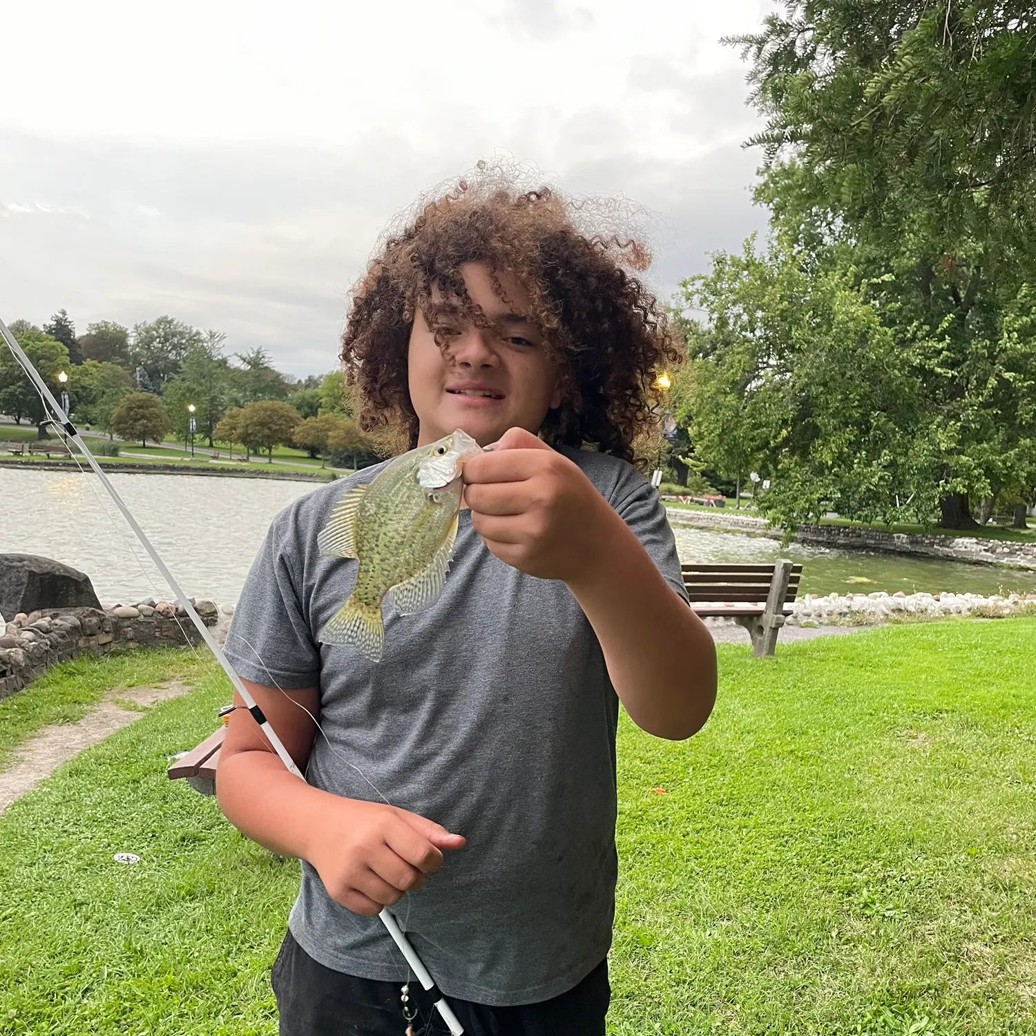 Black crappie caught on Fishbrain
