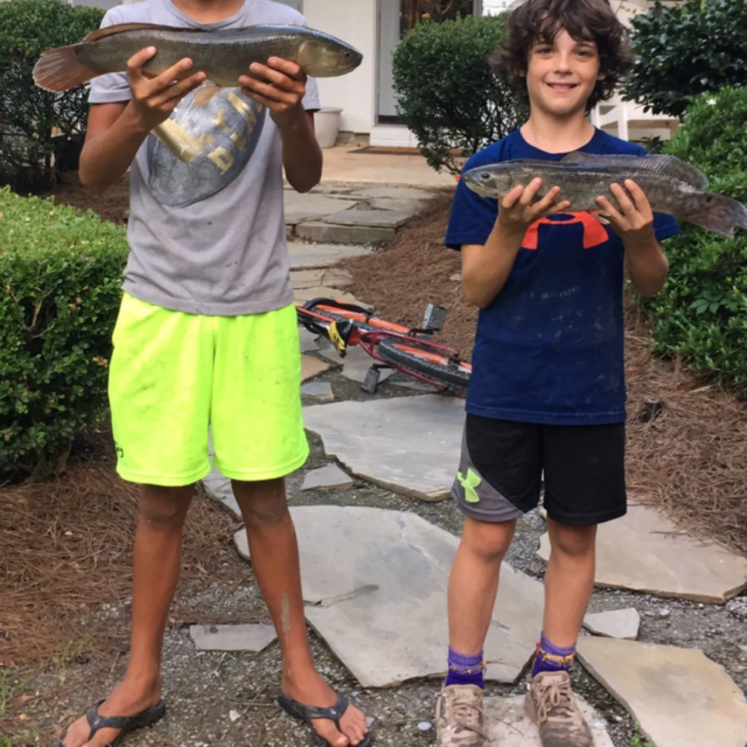 recently logged catches