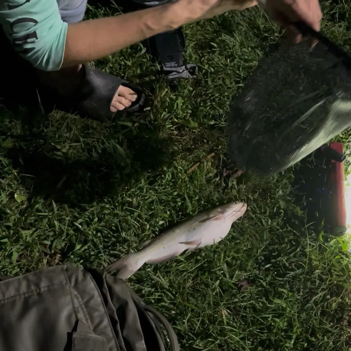 catch