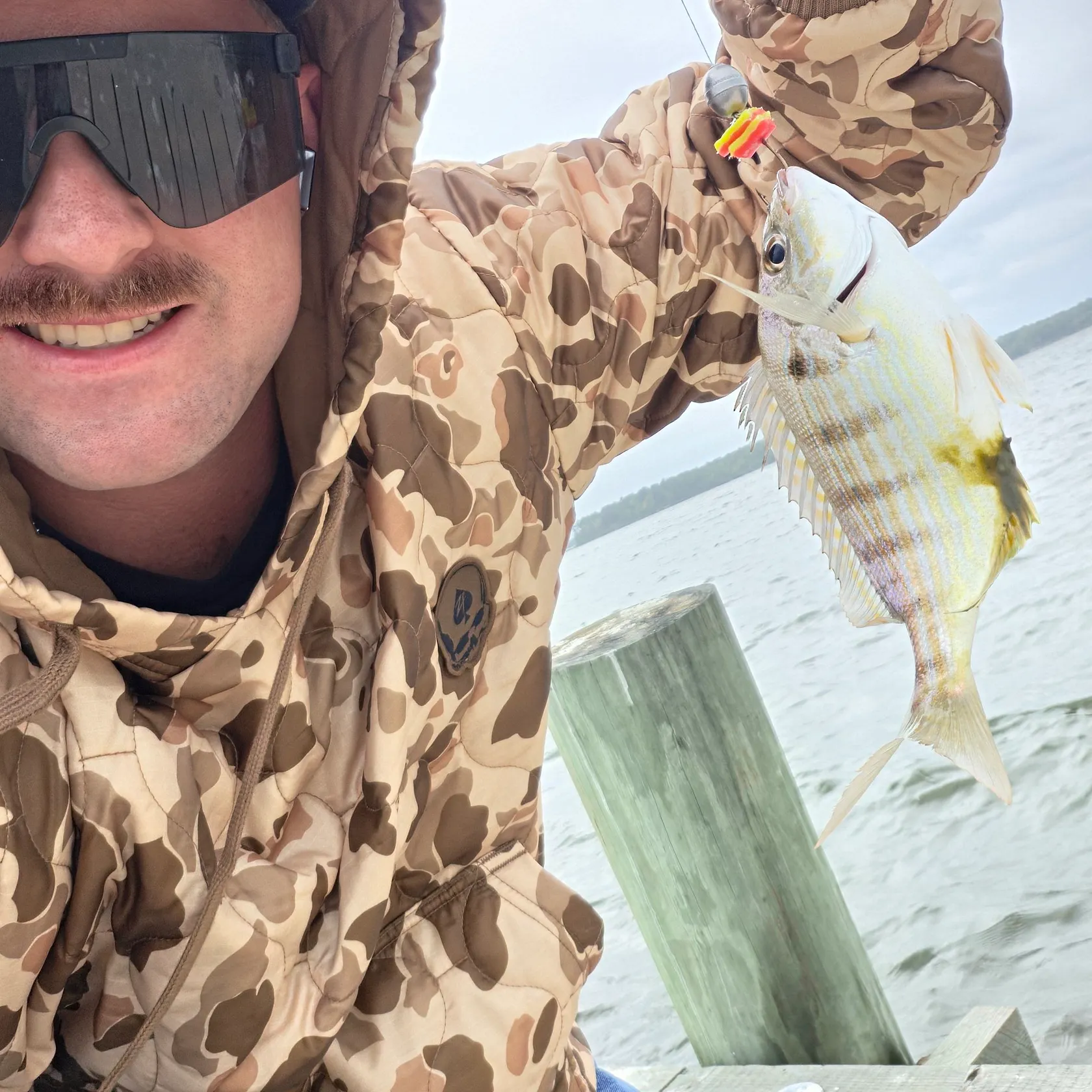 Pinfish caught on Fishbrain