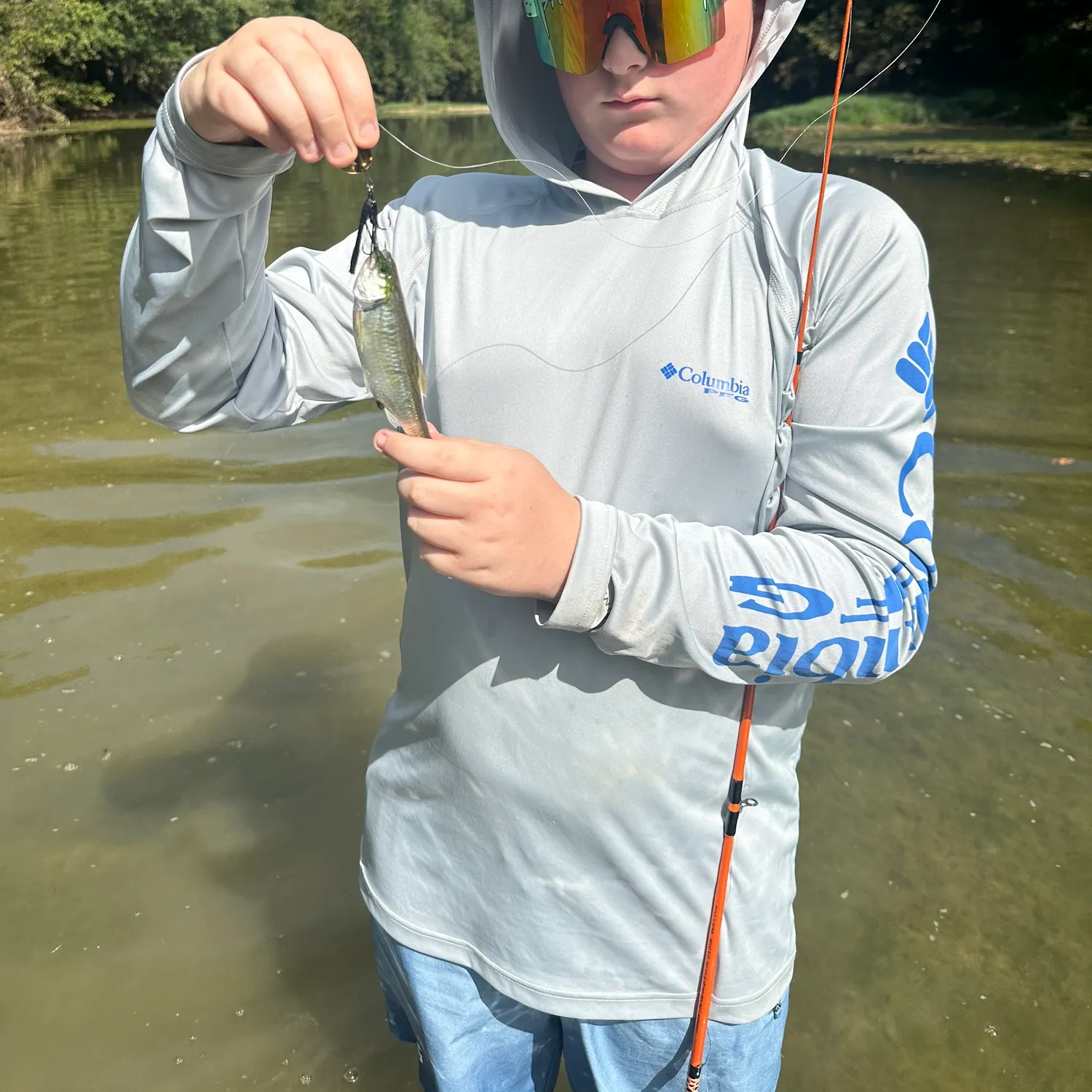 Striped shiner caught on Fishbrain