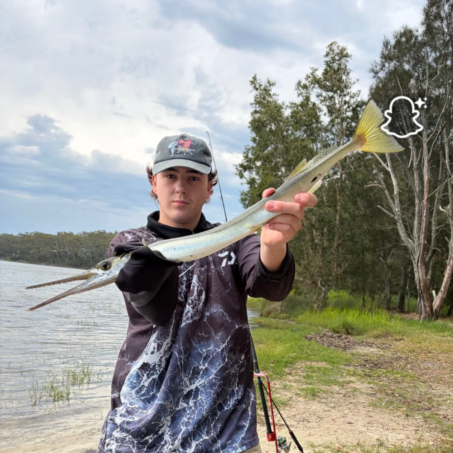 The most recent Banded needlefish catches on Fishbrain