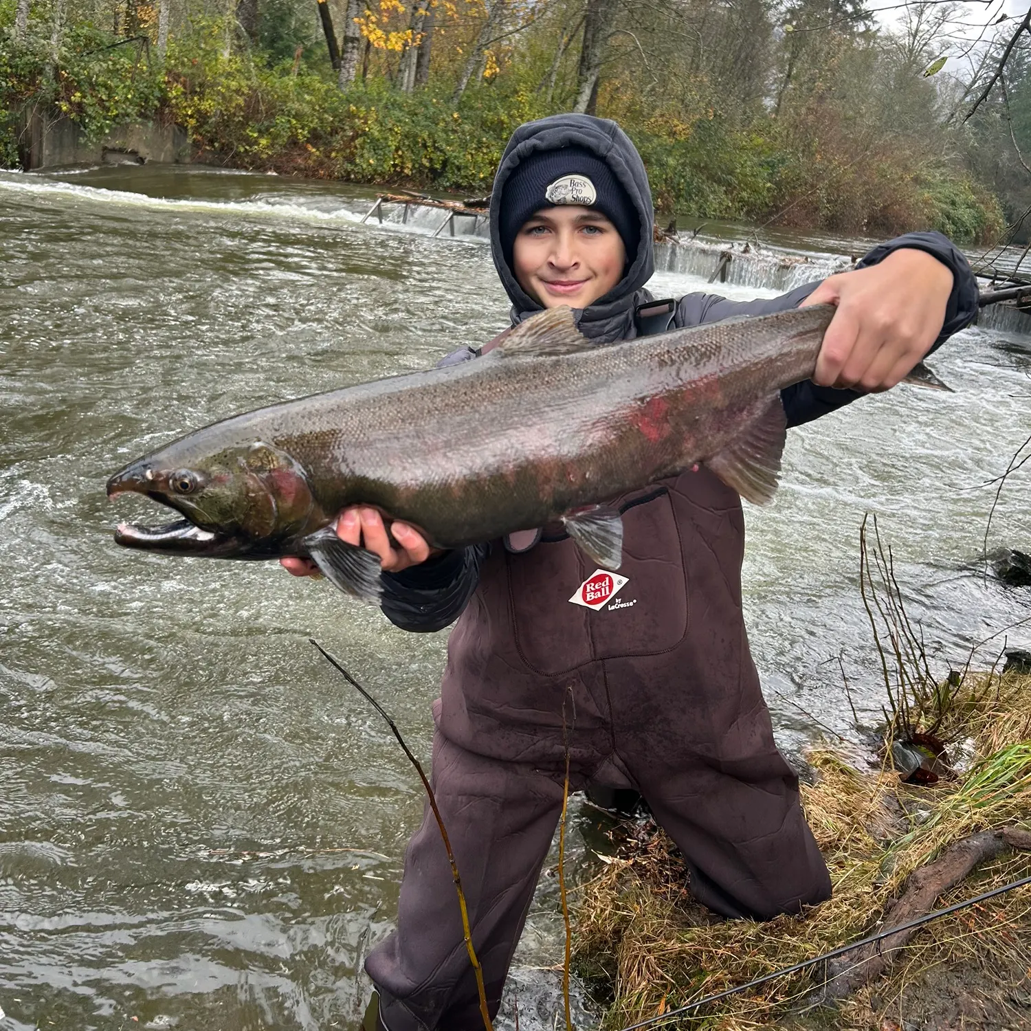 The most recent Coho salmon catches on Fishbrain