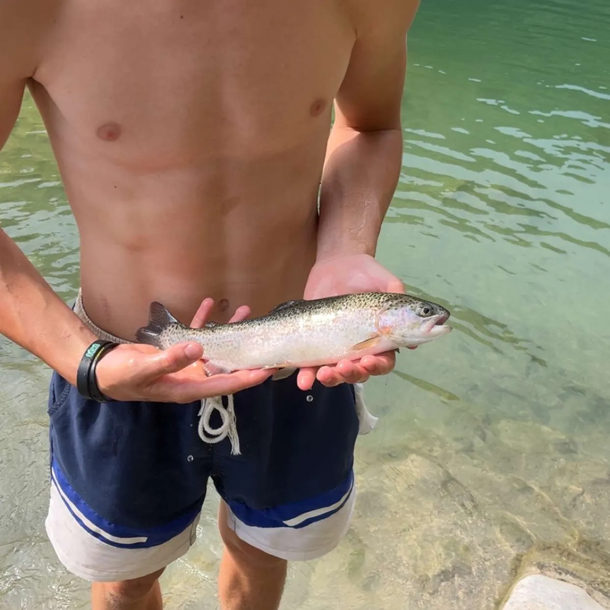 Rainbow trout caught on Fishbrain