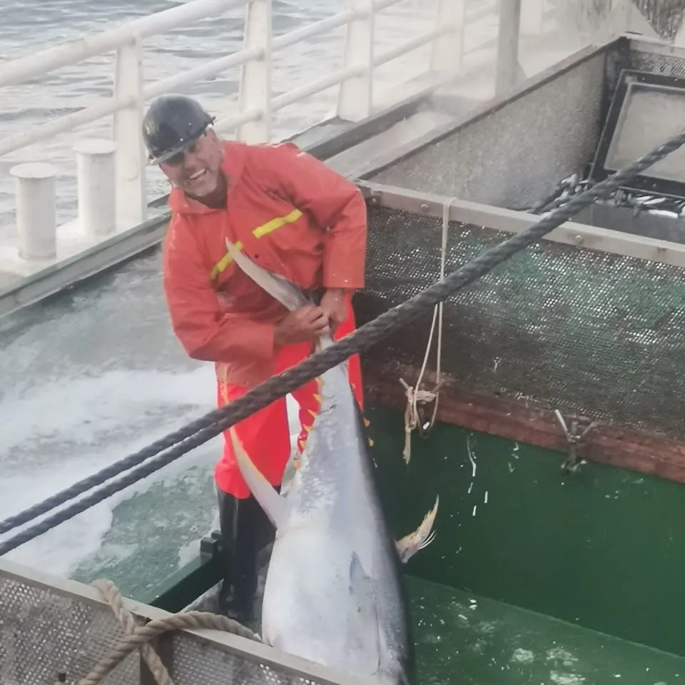 Yellowfin tuna caught on Fishbrain