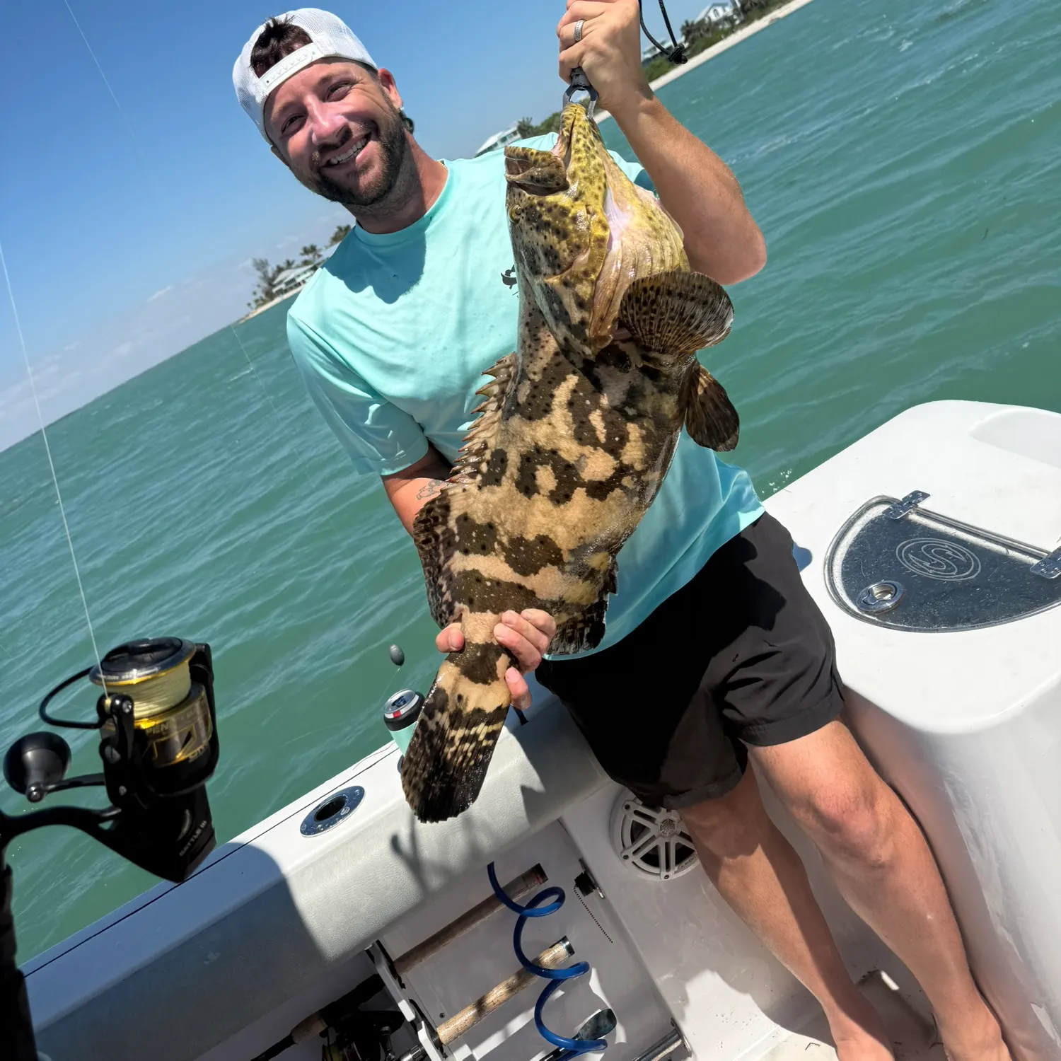 Atlantic goliath grouper caught on Fishbrain