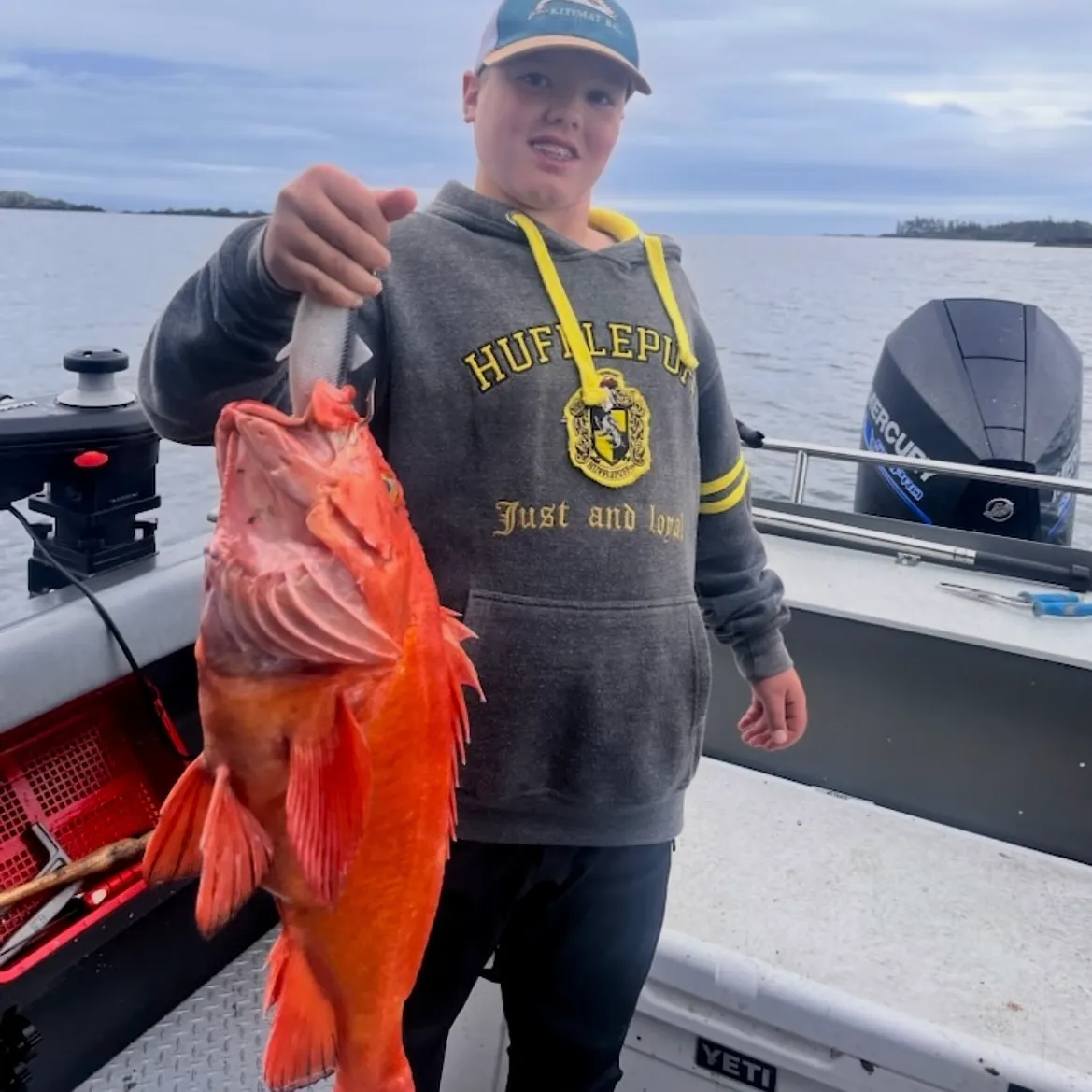 The most recent Goldeye rockfish catches on Fishbrain