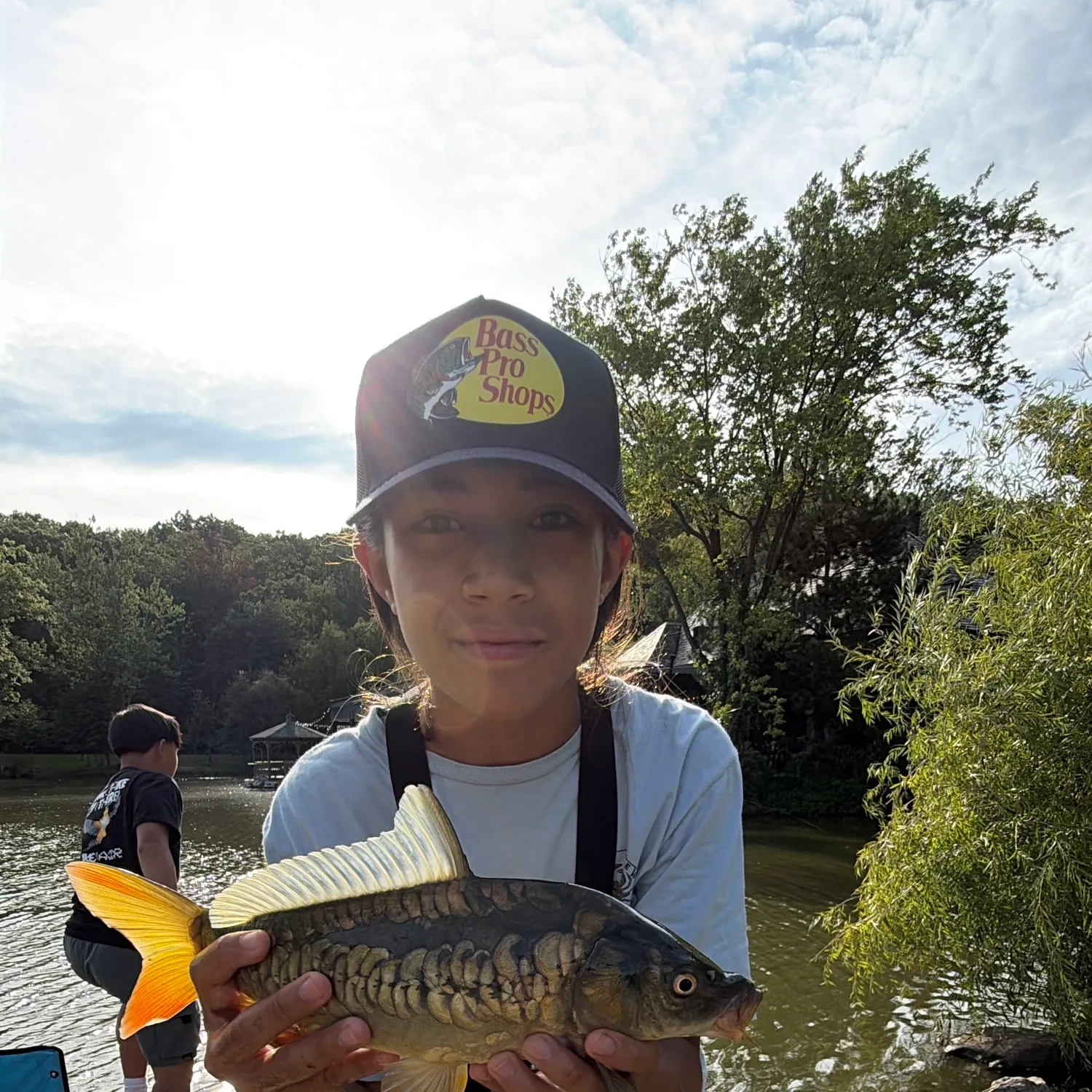 Mirror carp caught on Fishbrain