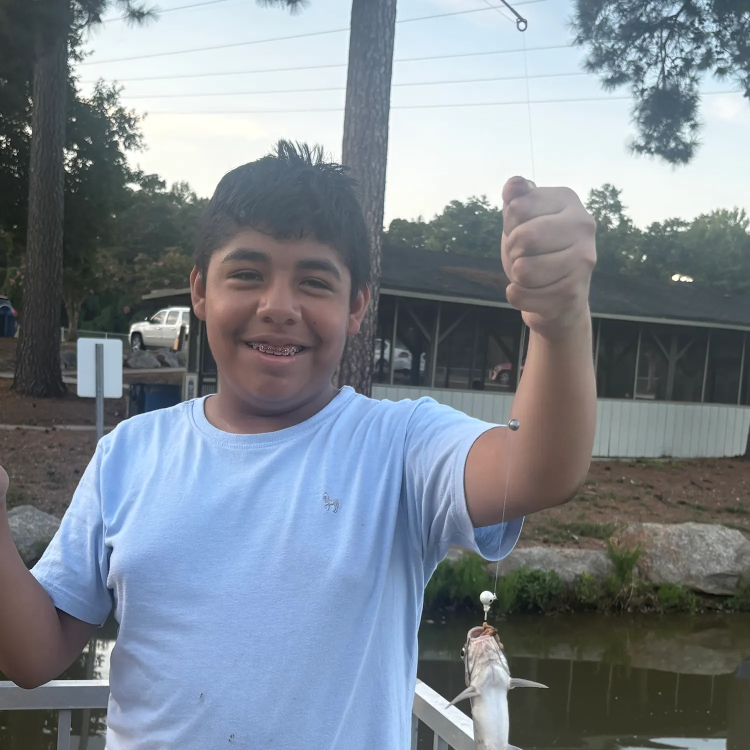 Gafftopsail sea catfish caught on Fishbrain