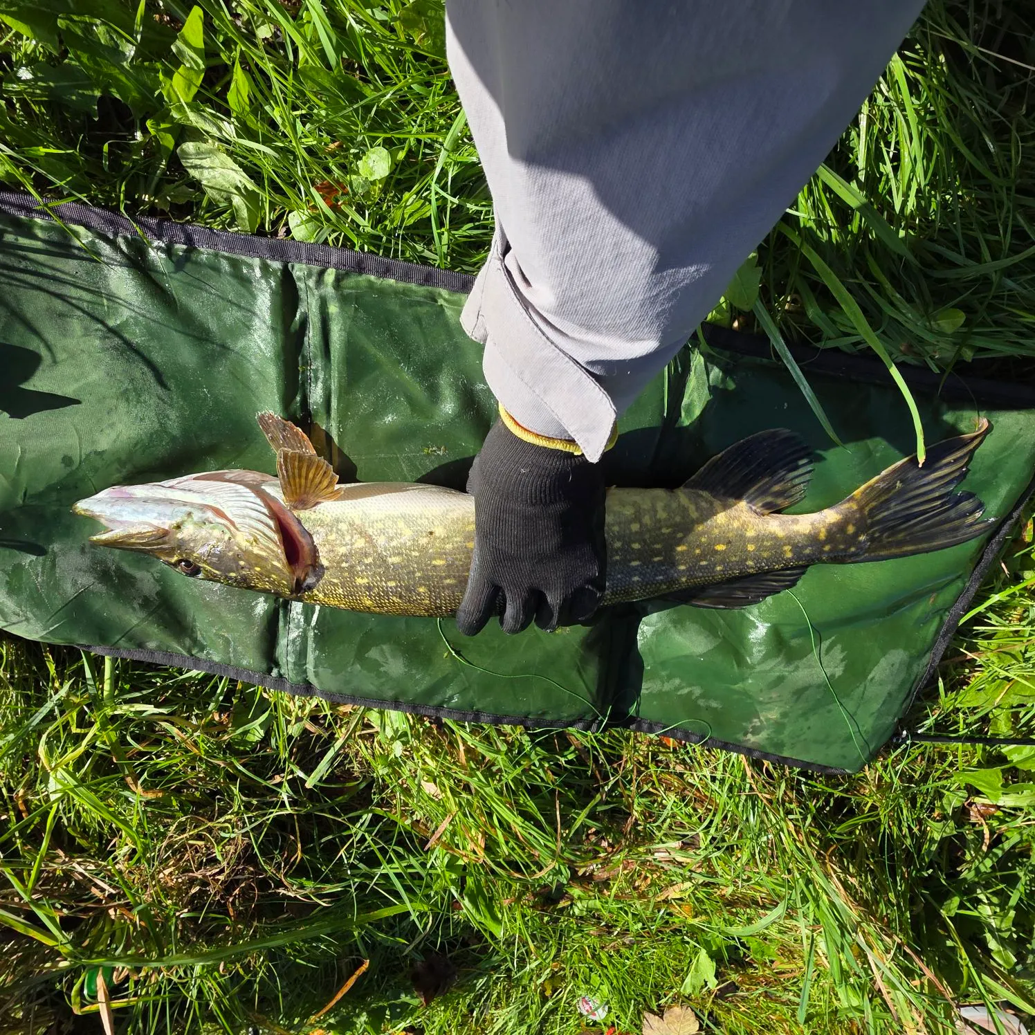 catch