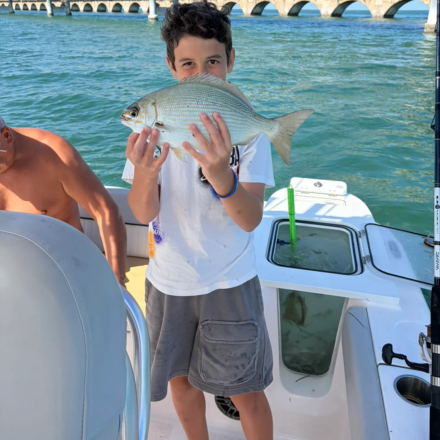 The most recent Bermuda sea chub catches on Fishbrain