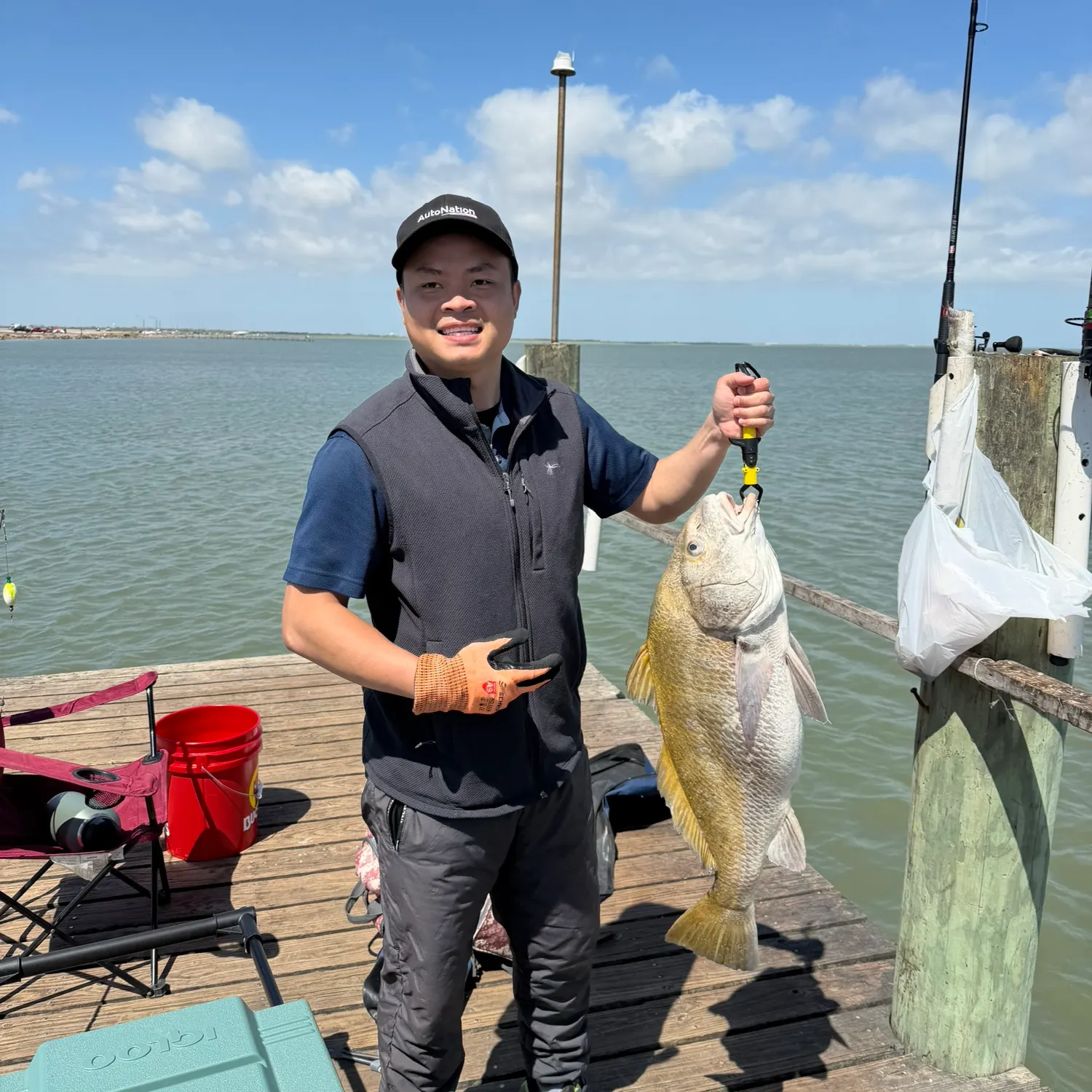 The most recent Black drum catches on Fishbrain