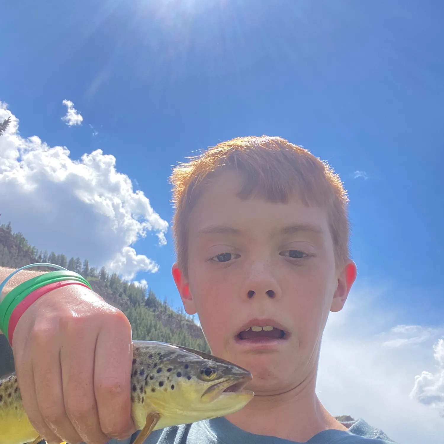 Cutthroat trout caught on Fishbrain