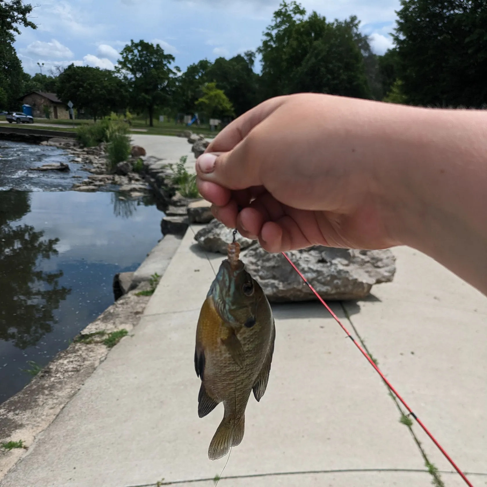 catch