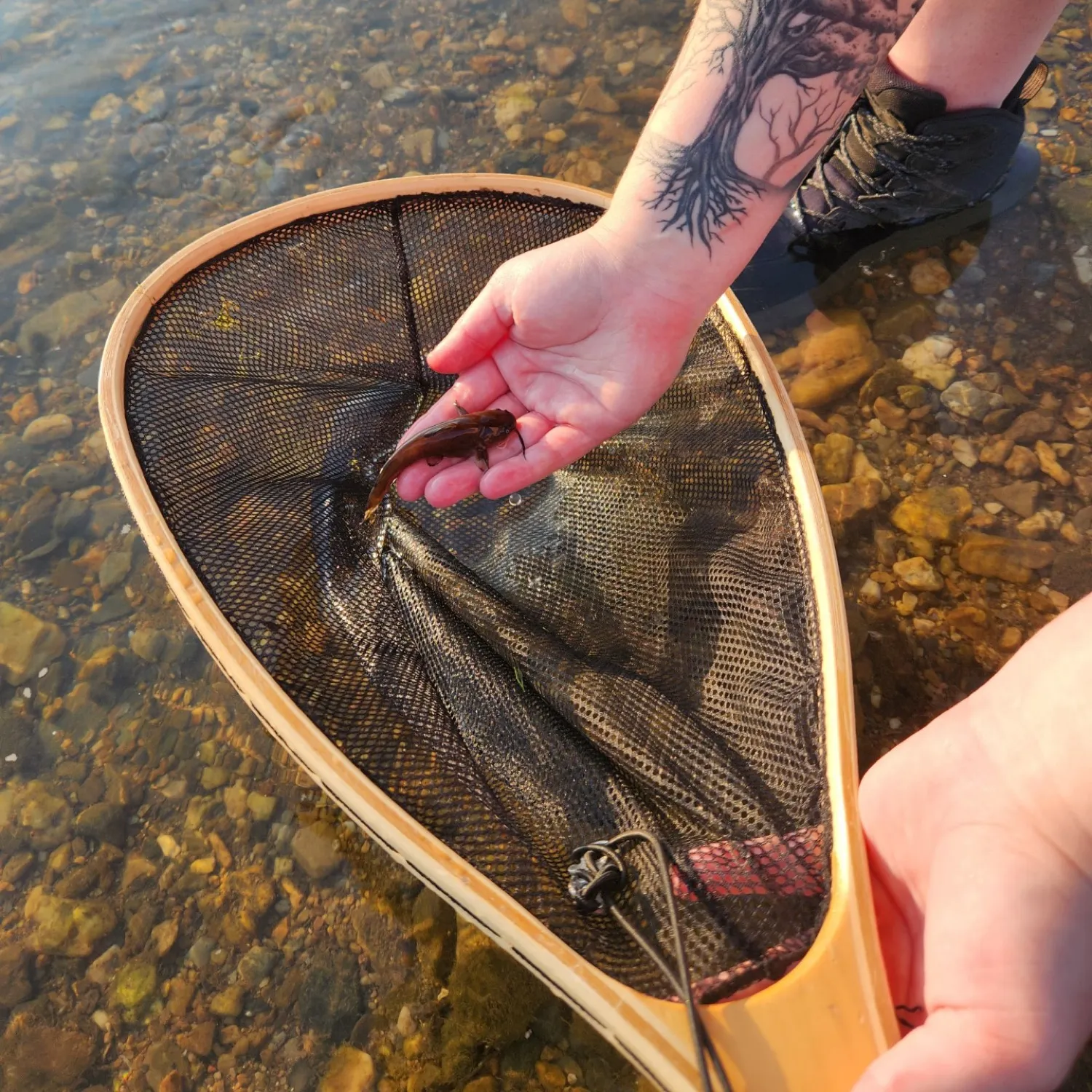 catch