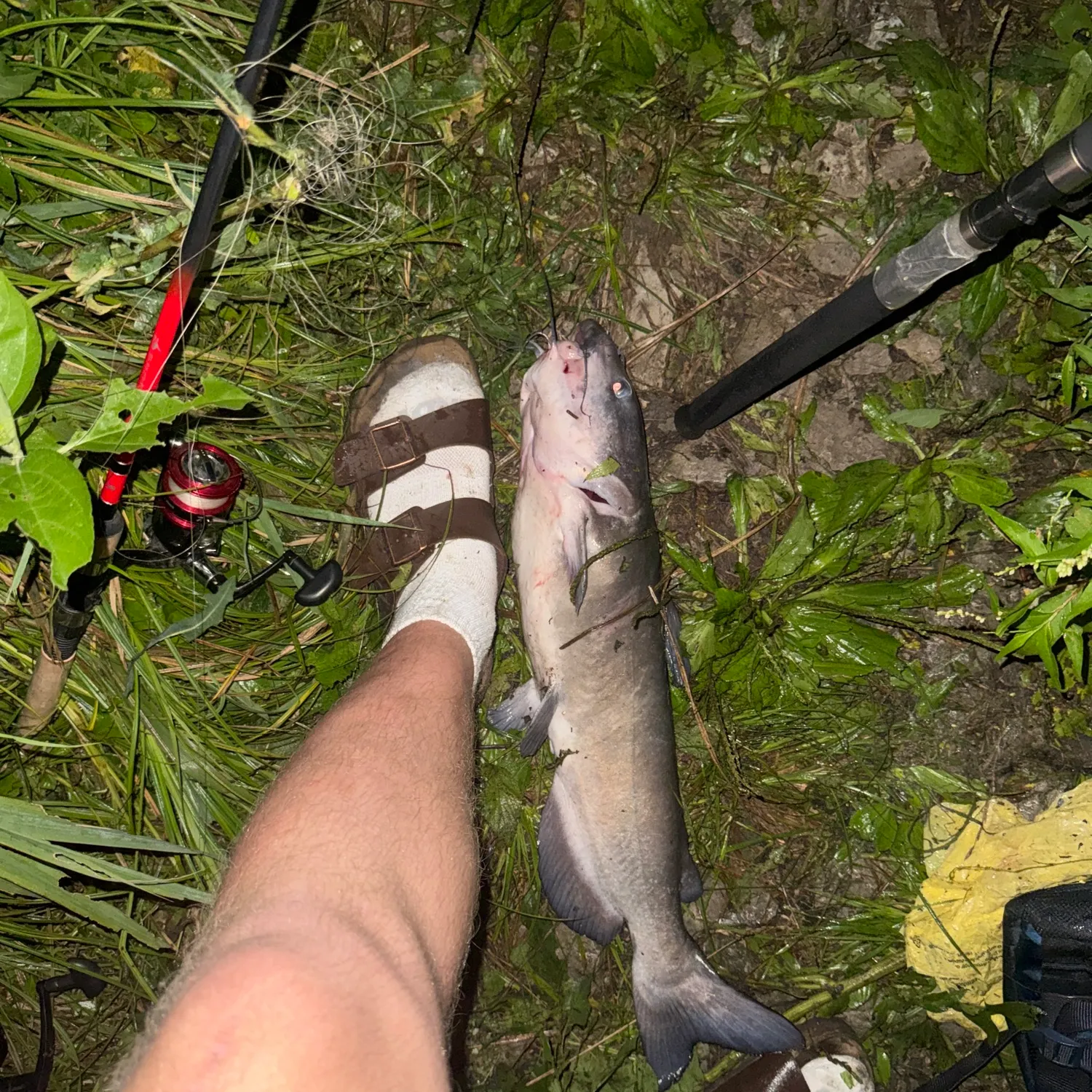 catch