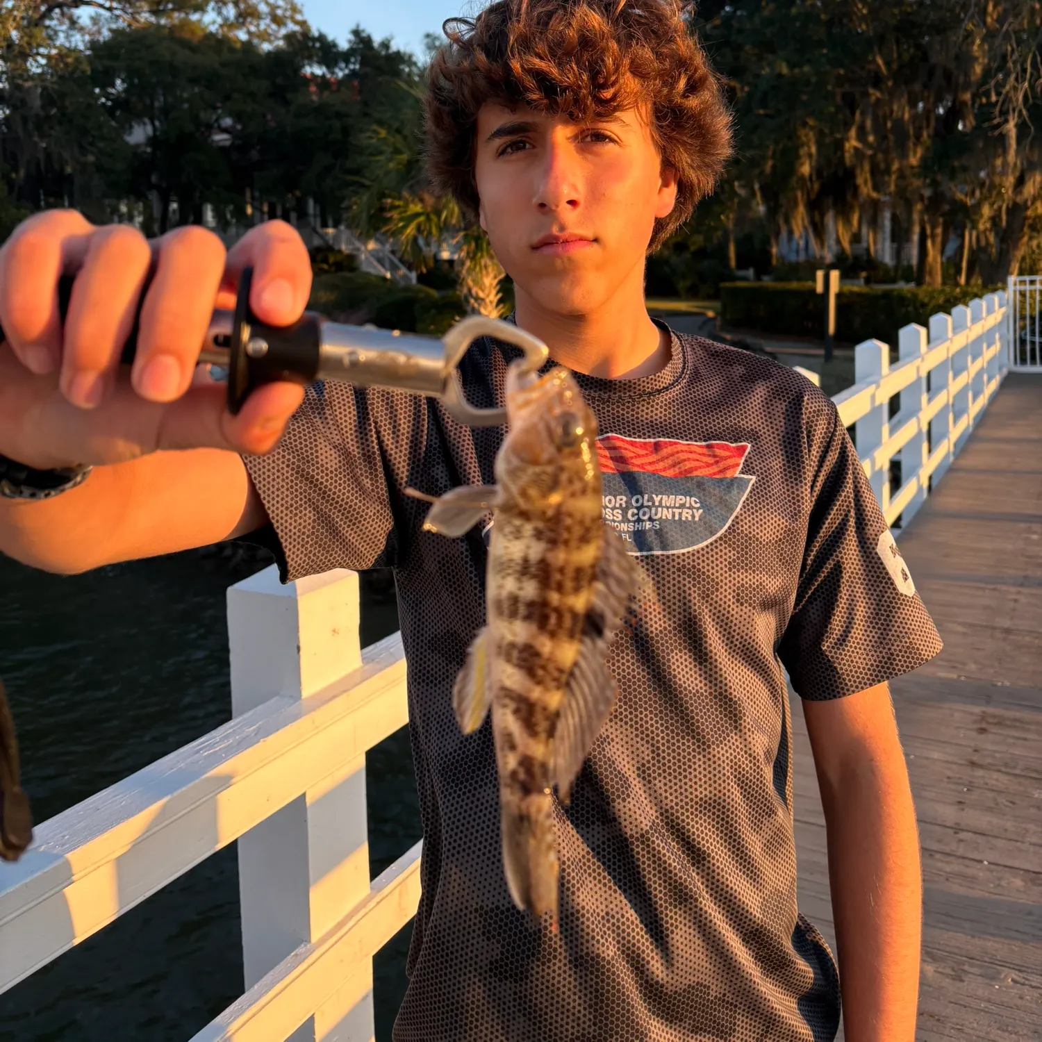 The most recent Rock sea bass catches on Fishbrain