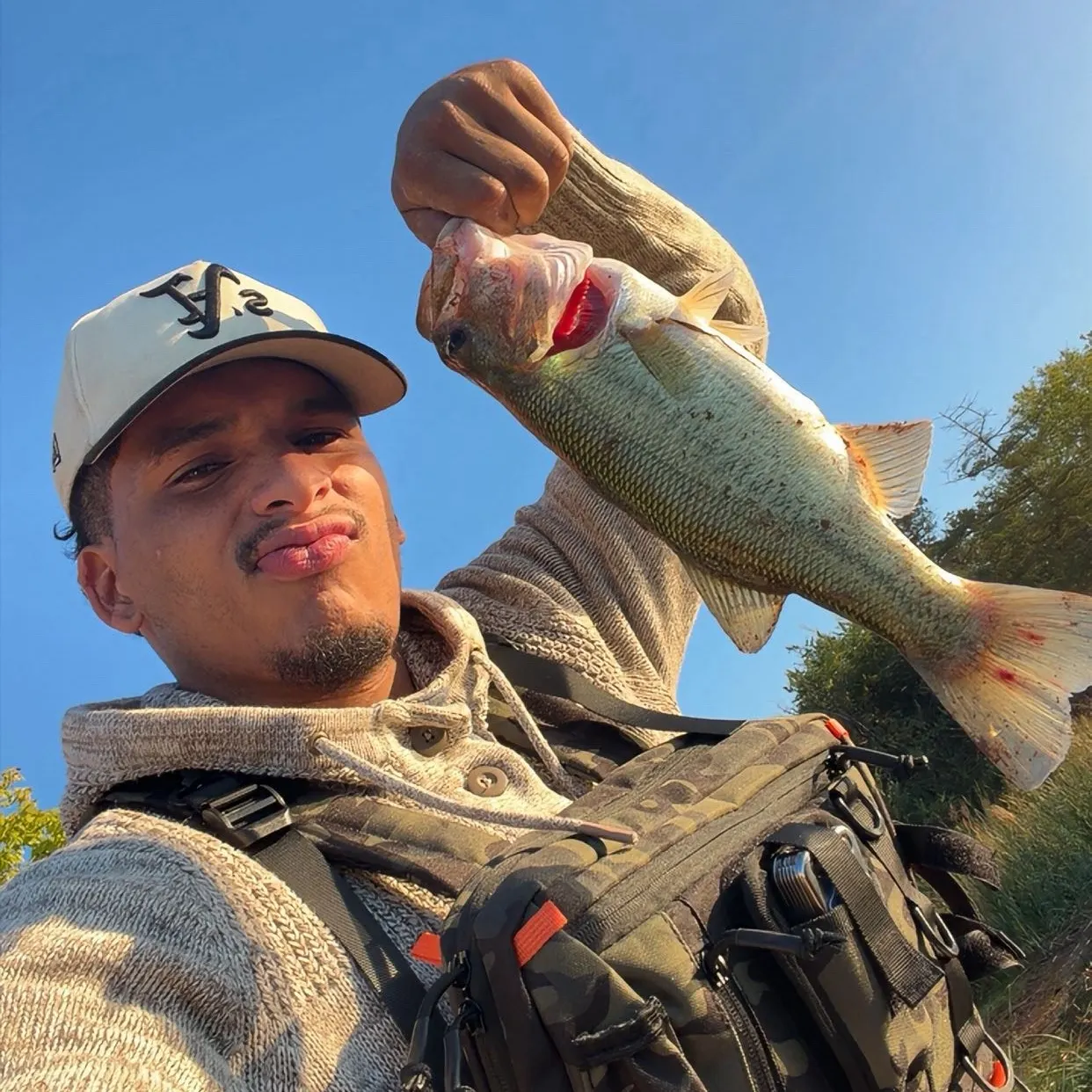 Largemouth bass caught on Fishbrain