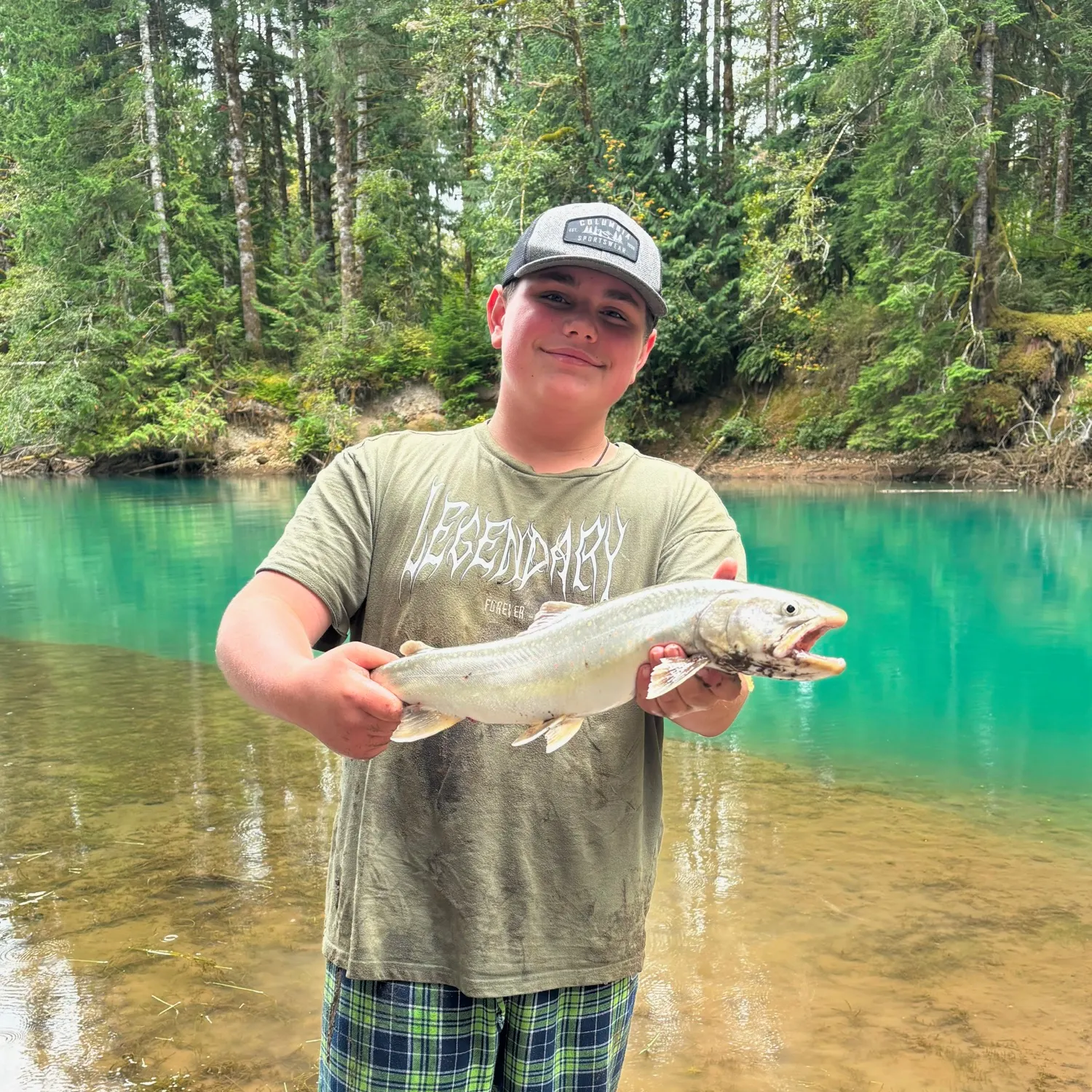 Bull trout caught on Fishbrain