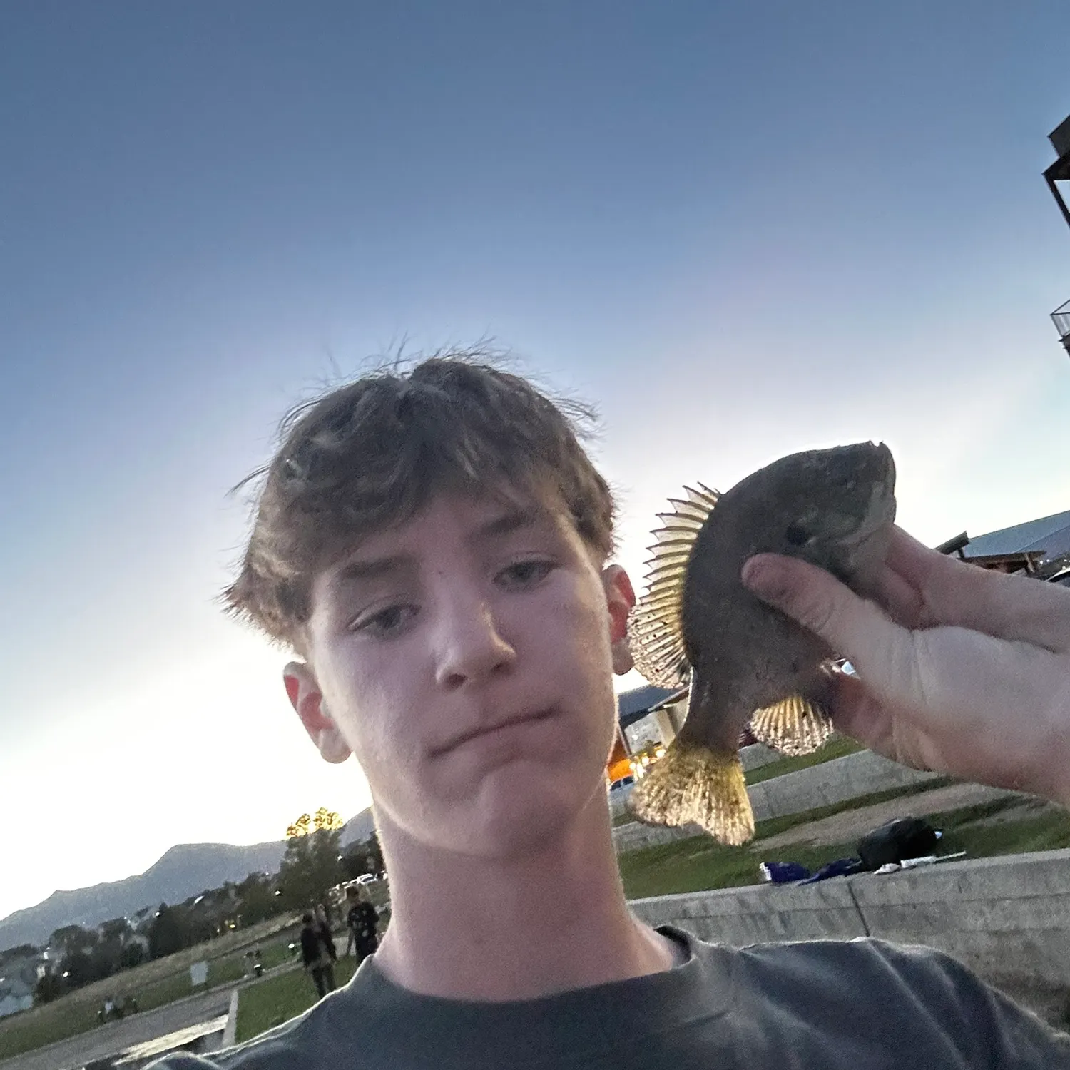 Bluegill caught on Fishbrain