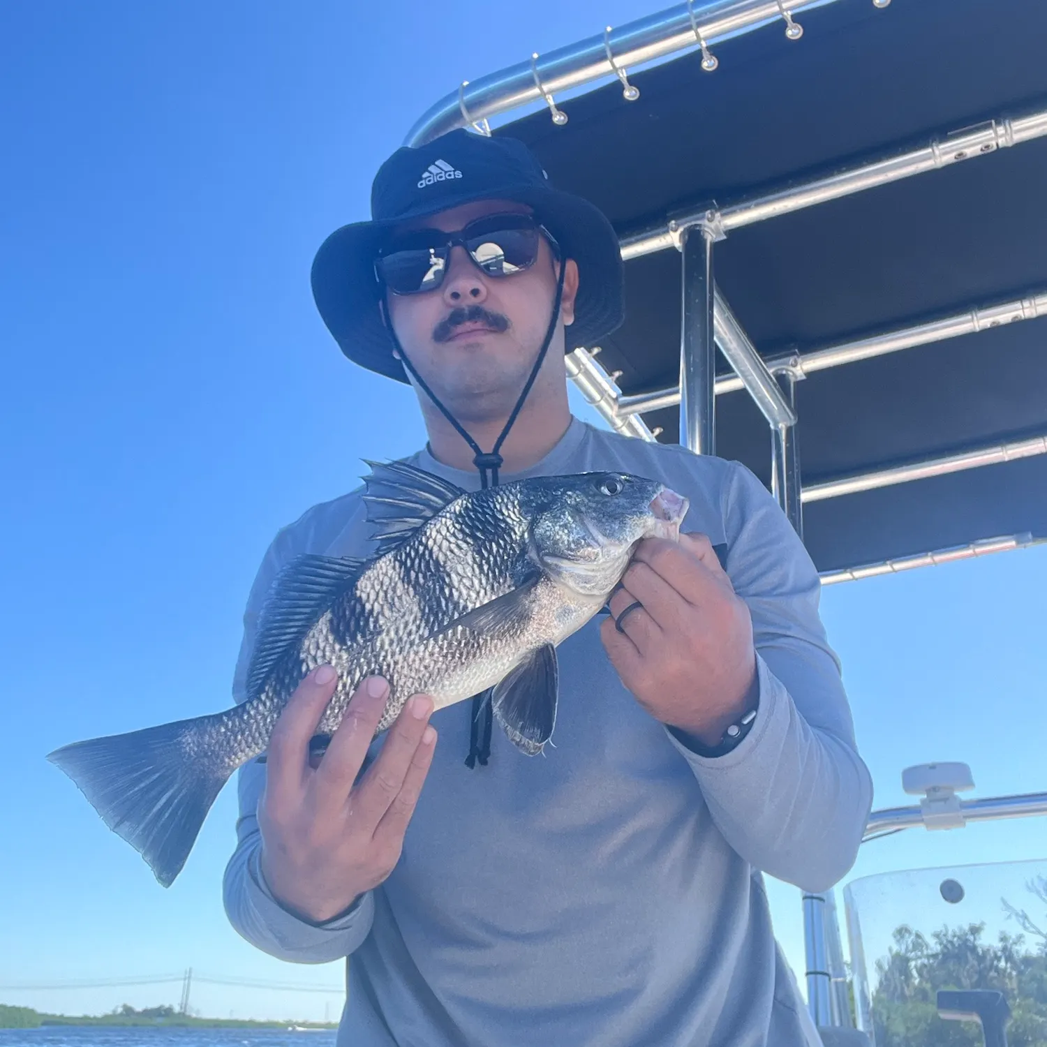 Black drum caught on Fishbrain