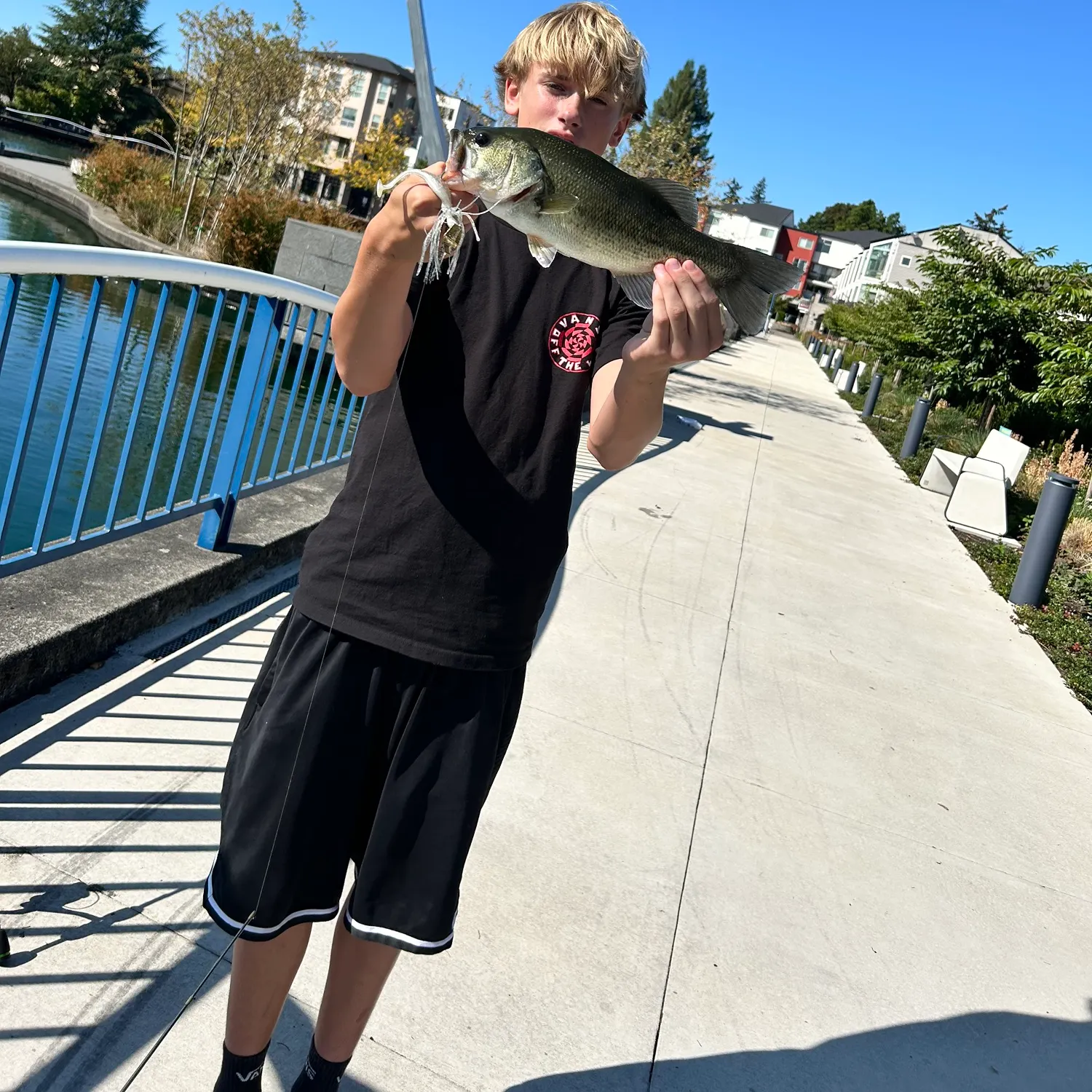 Largemouth bass caught on Fishbrain