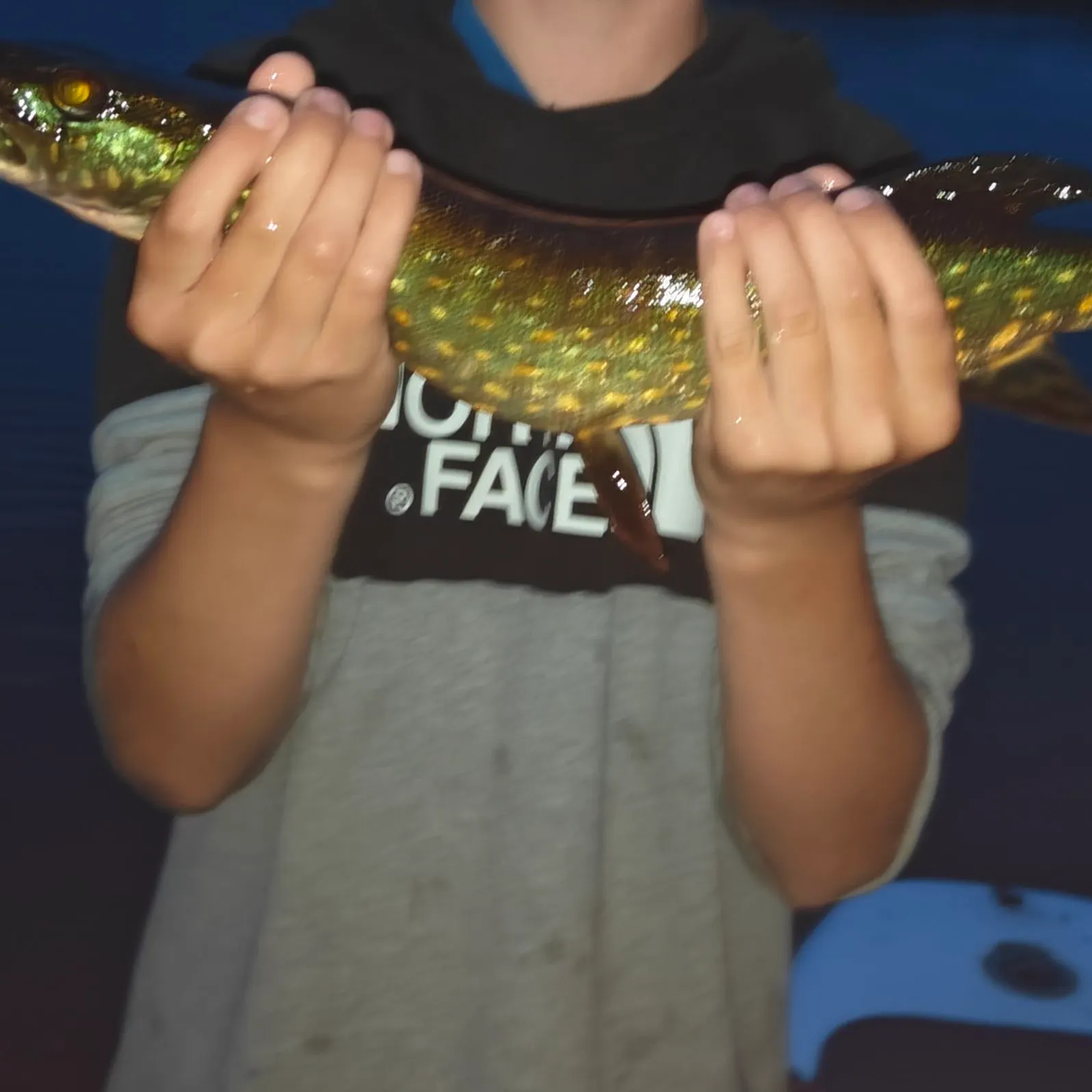 Northern pike caught on Fishbrain