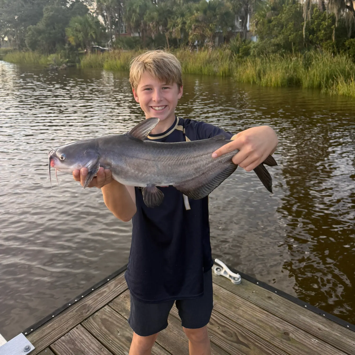 Blue catfish caught on Fishbrain