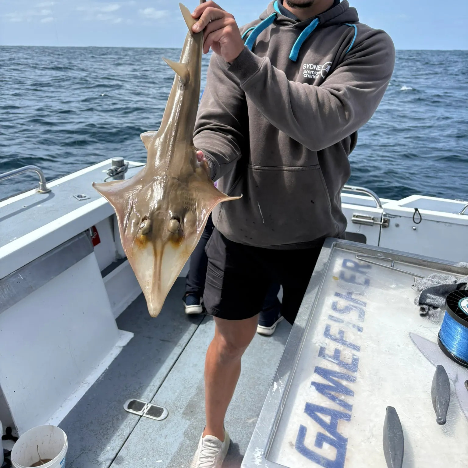 The most recent Pacific shovelnose guitarfish catches on Fishbrain