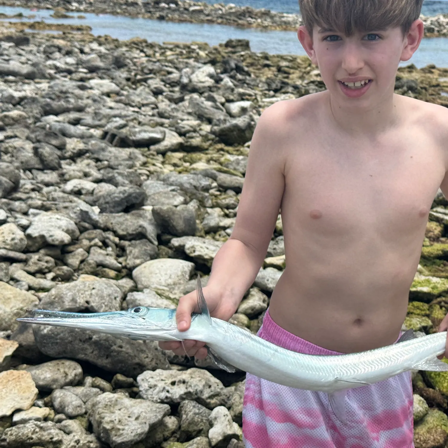 The most recent Flat needlefish catches on Fishbrain