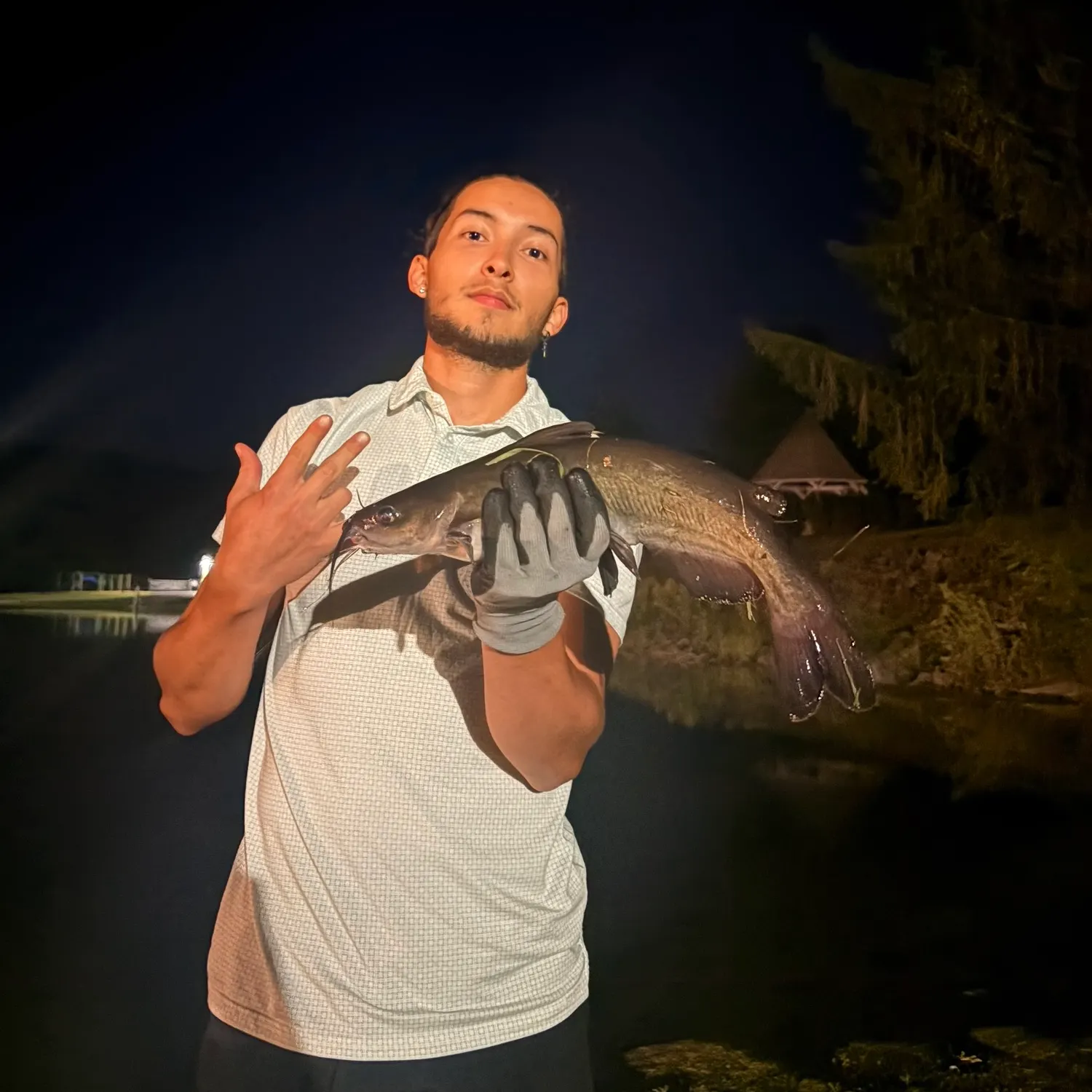 Black bullhead caught on Fishbrain
