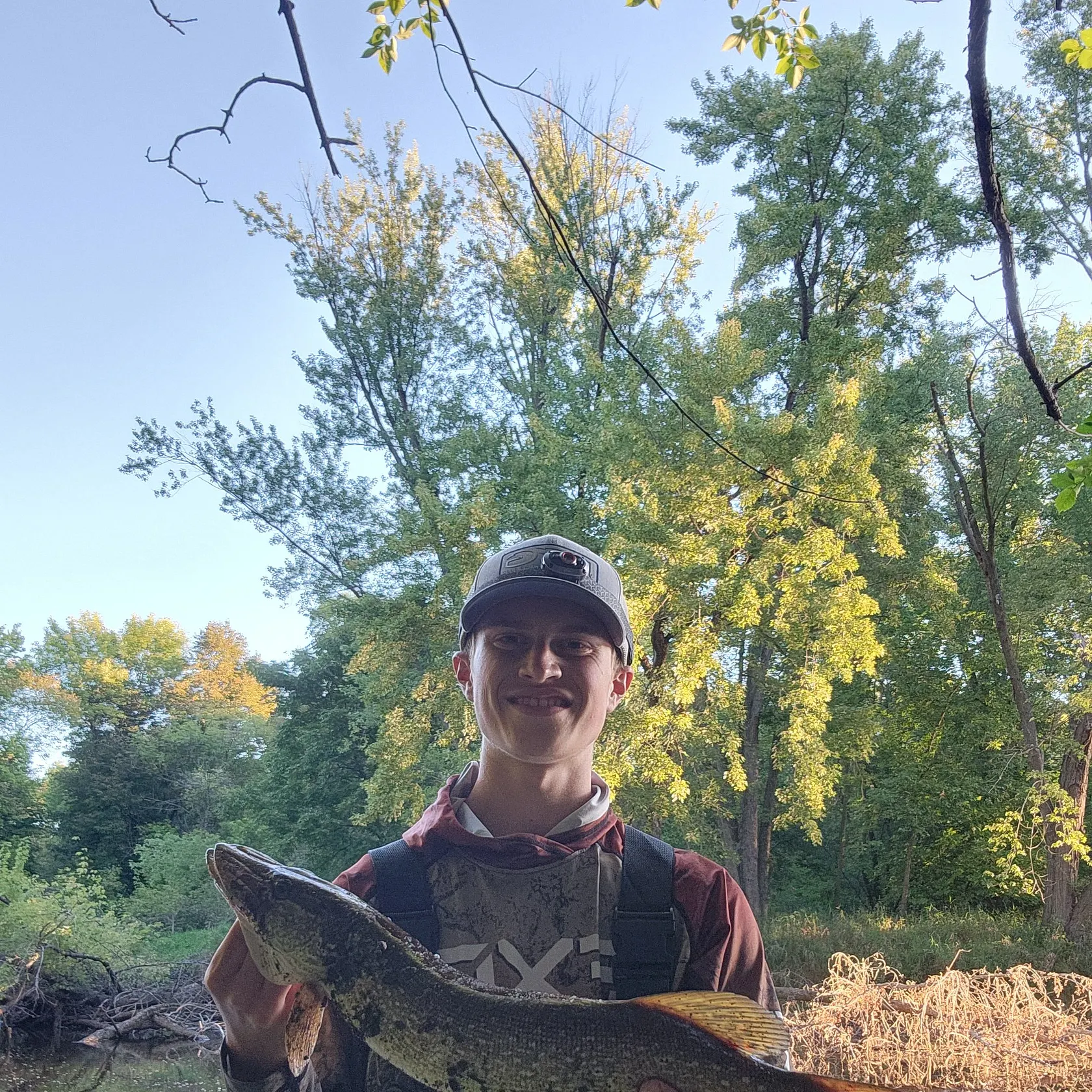 Northern pike caught on Fishbrain