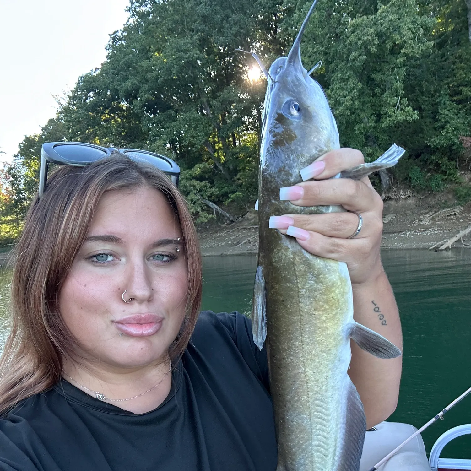 Channel catfish caught on Fishbrain