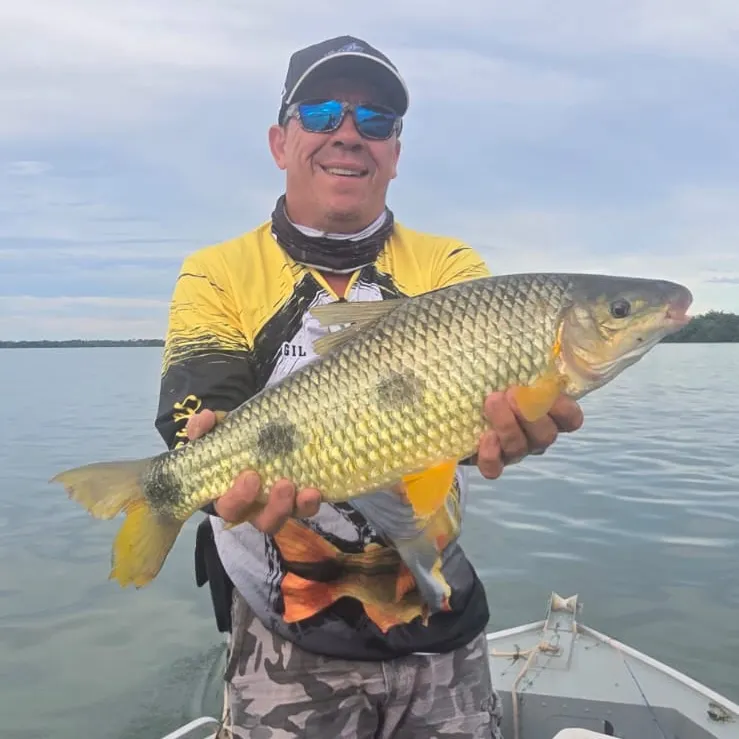 The most recent Boga catches on Fishbrain